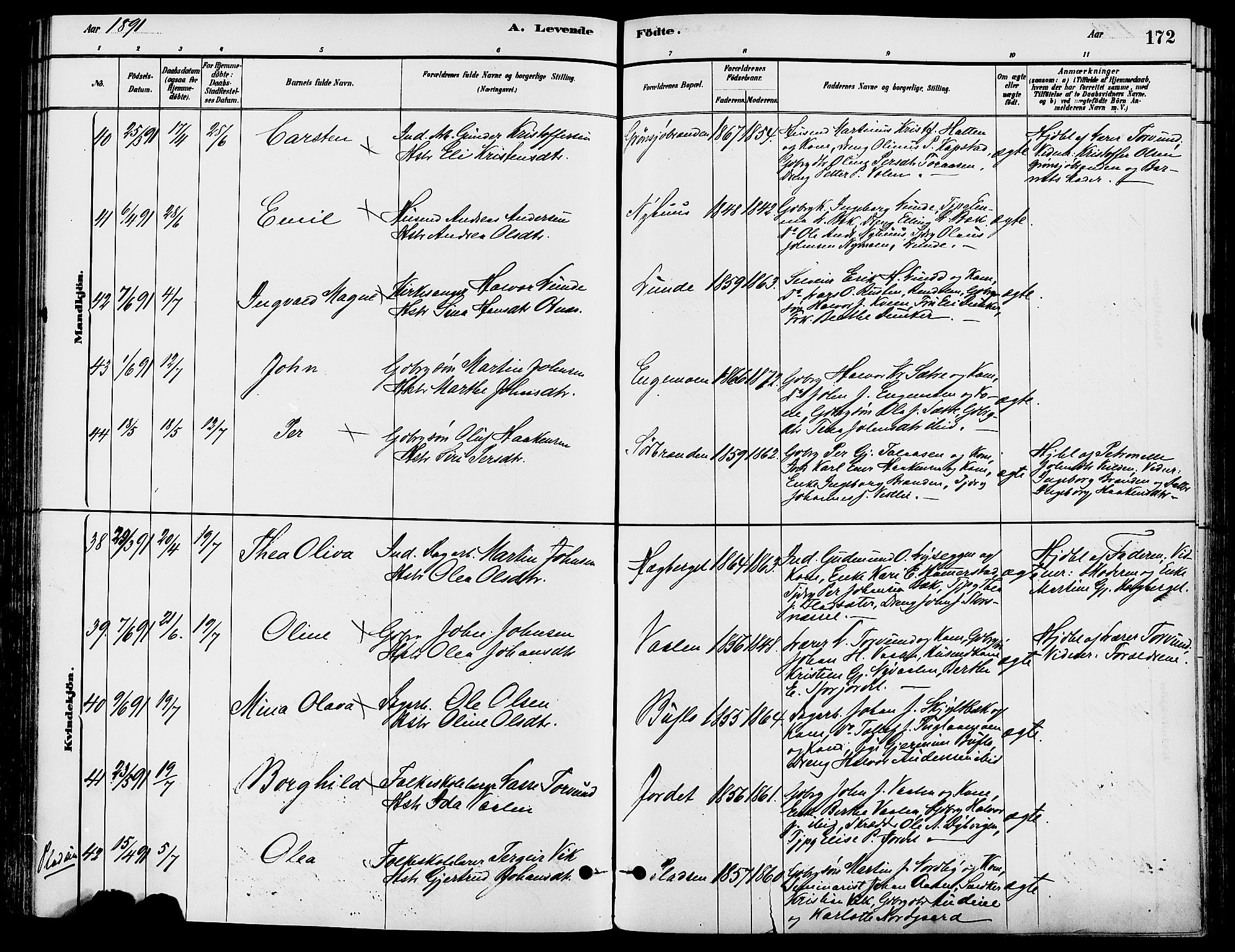 Trysil prestekontor, SAH/PREST-046/H/Ha/Haa/L0008: Parish register (official) no. 8, 1881-1897, p. 172