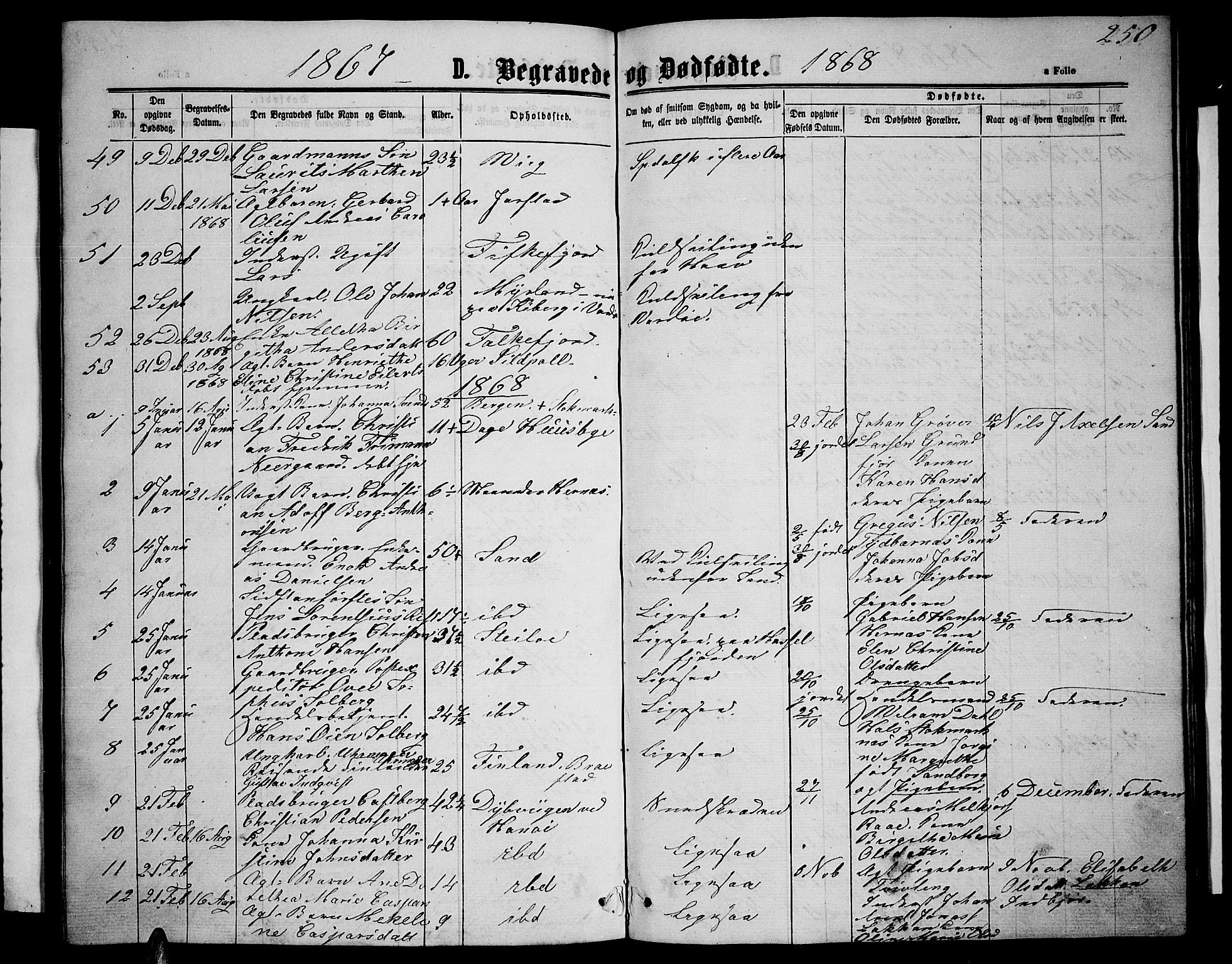 Ministerialprotokoller, klokkerbøker og fødselsregistre - Nordland, SAT/A-1459/888/L1266: Parish register (copy) no. 888C04, 1864-1877, p. 250