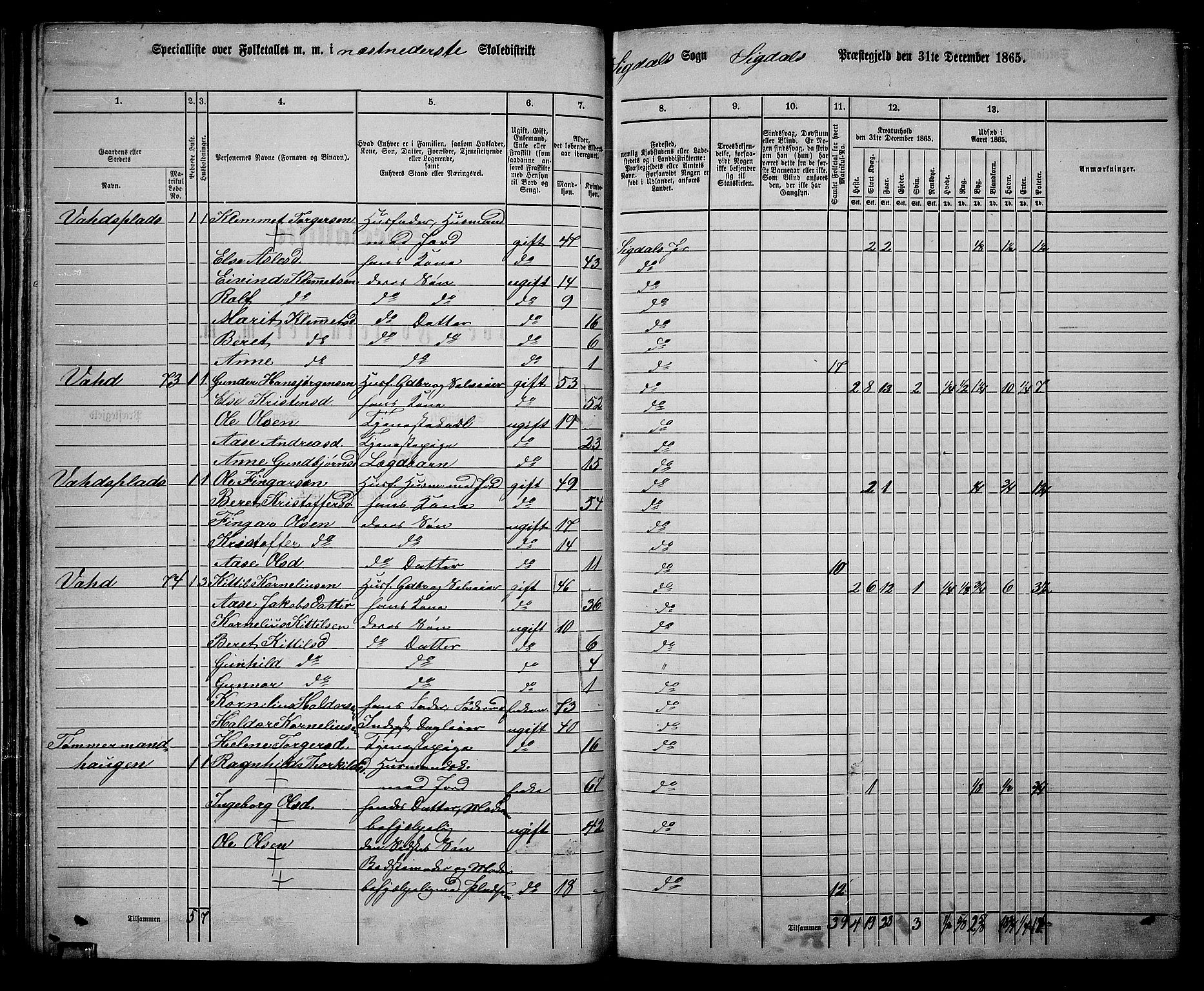 RA, 1865 census for Sigdal, 1865, p. 57