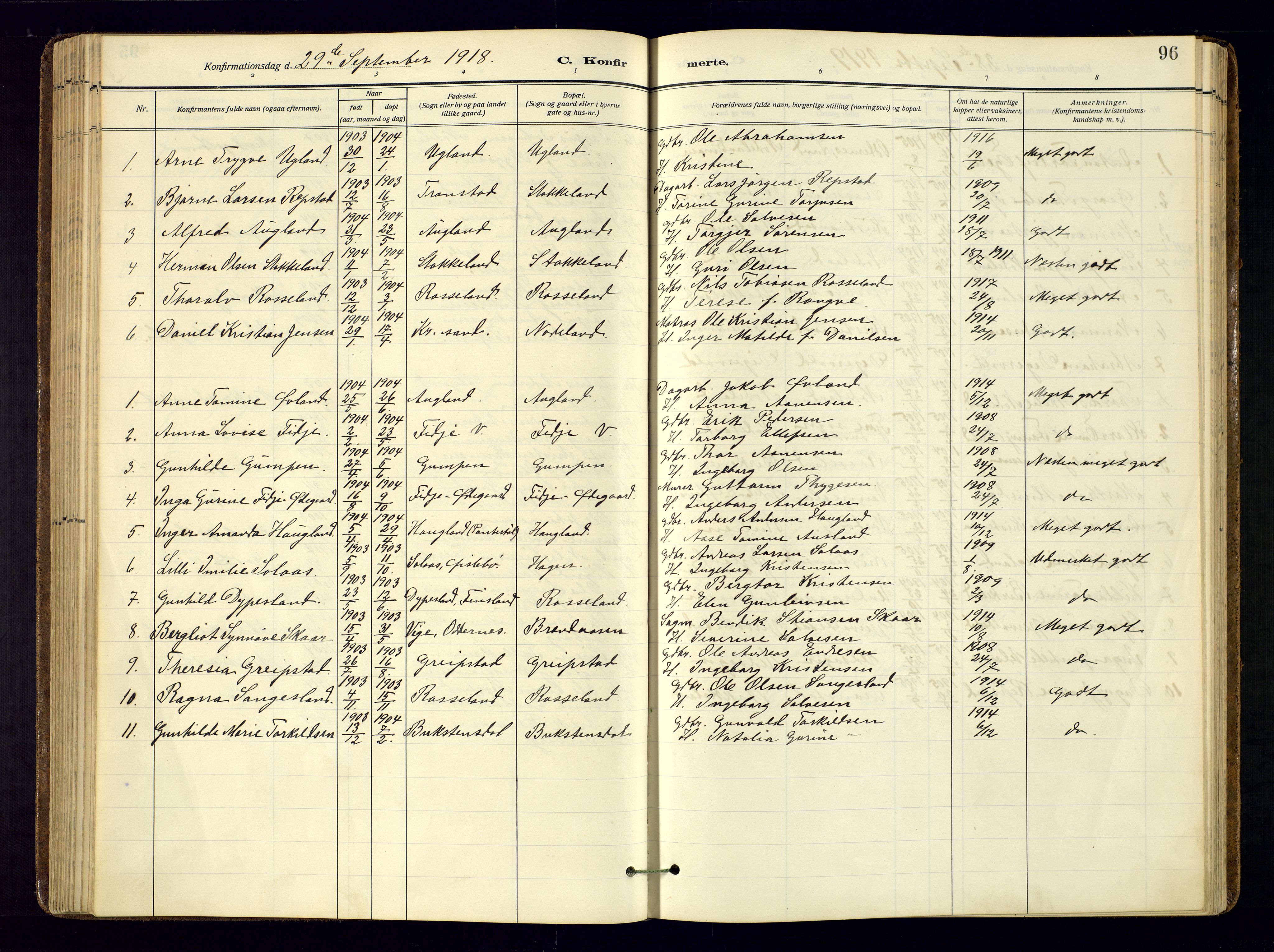 Søgne sokneprestkontor, AV/SAK-1111-0037/F/Fa/Faa/L0004: Parish register (official) no. A-4, 1911-1945, p. 96