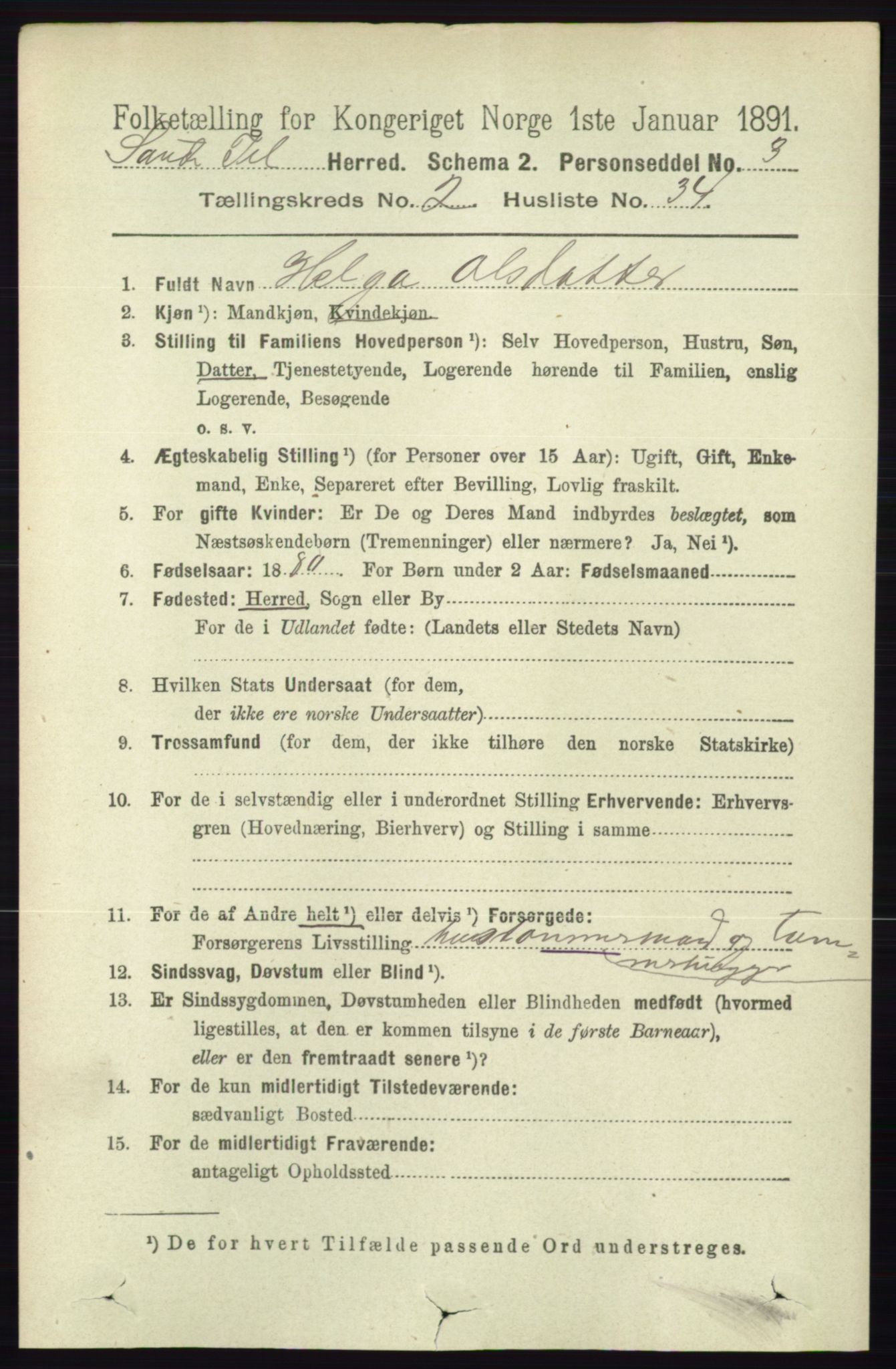 RA, 1891 census for 0822 Sauherad, 1891, p. 599