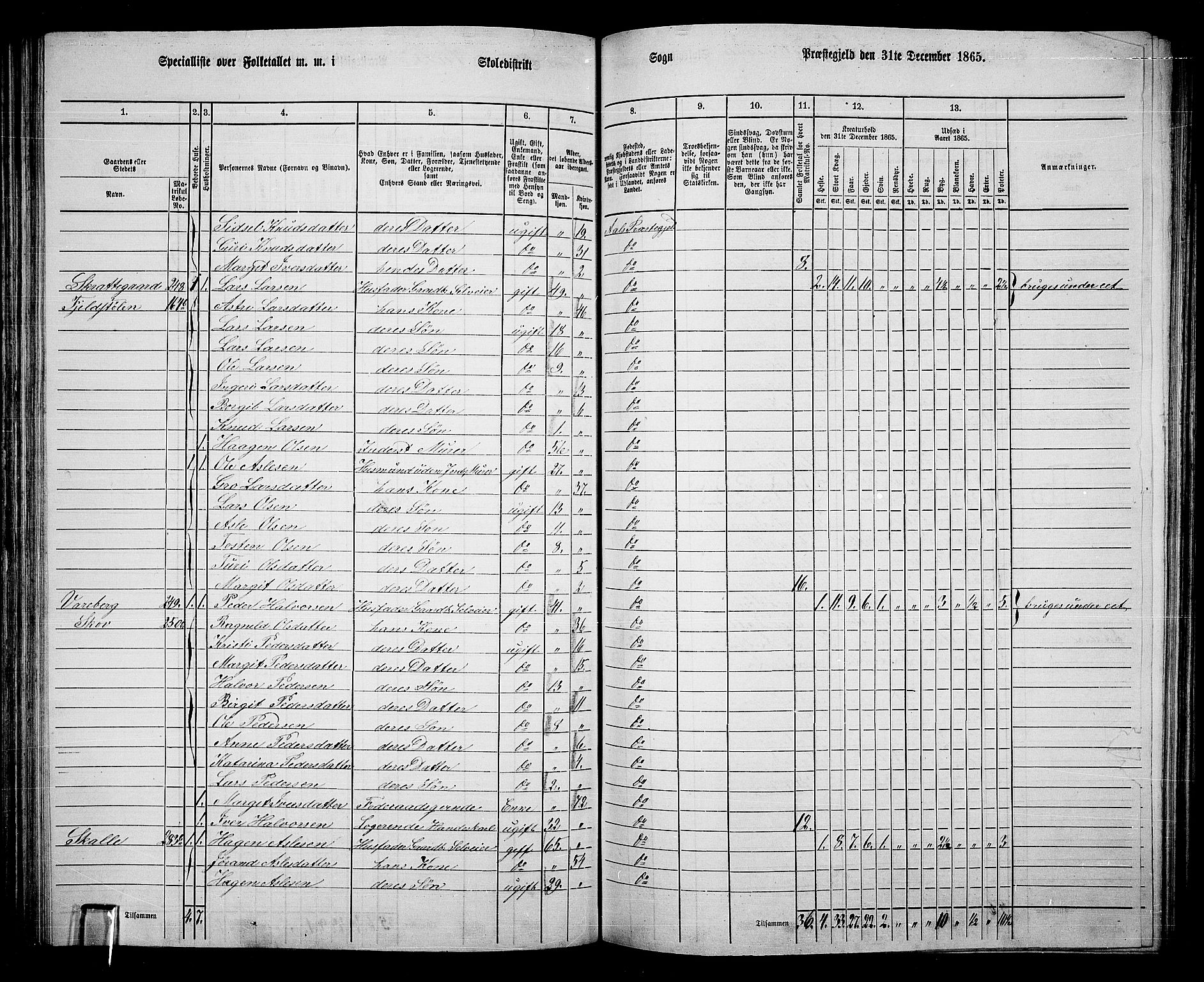 RA, 1865 census for Ål, 1865, p. 135