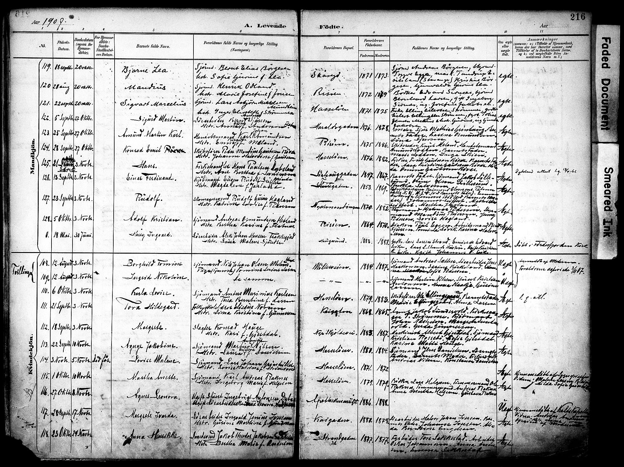 Haugesund sokneprestkontor, AV/SAST-A -101863/H/Ha/Haa/L0006: Parish register (official) no. A 6, 1891-1907, p. 216