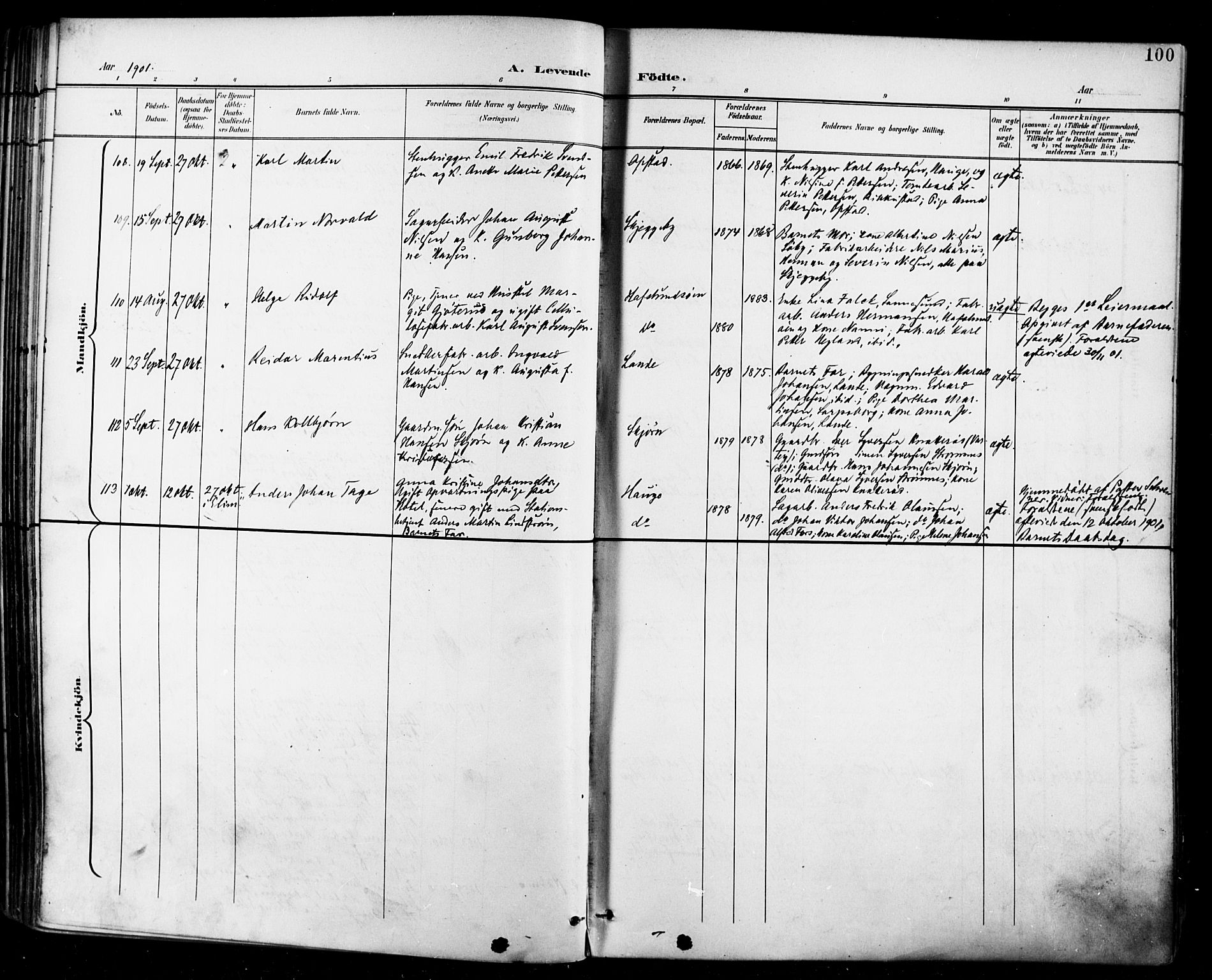 Tune prestekontor Kirkebøker, SAO/A-2007/F/Fa/L0019: Parish register (official) no. 19, 1898-1904, p. 100