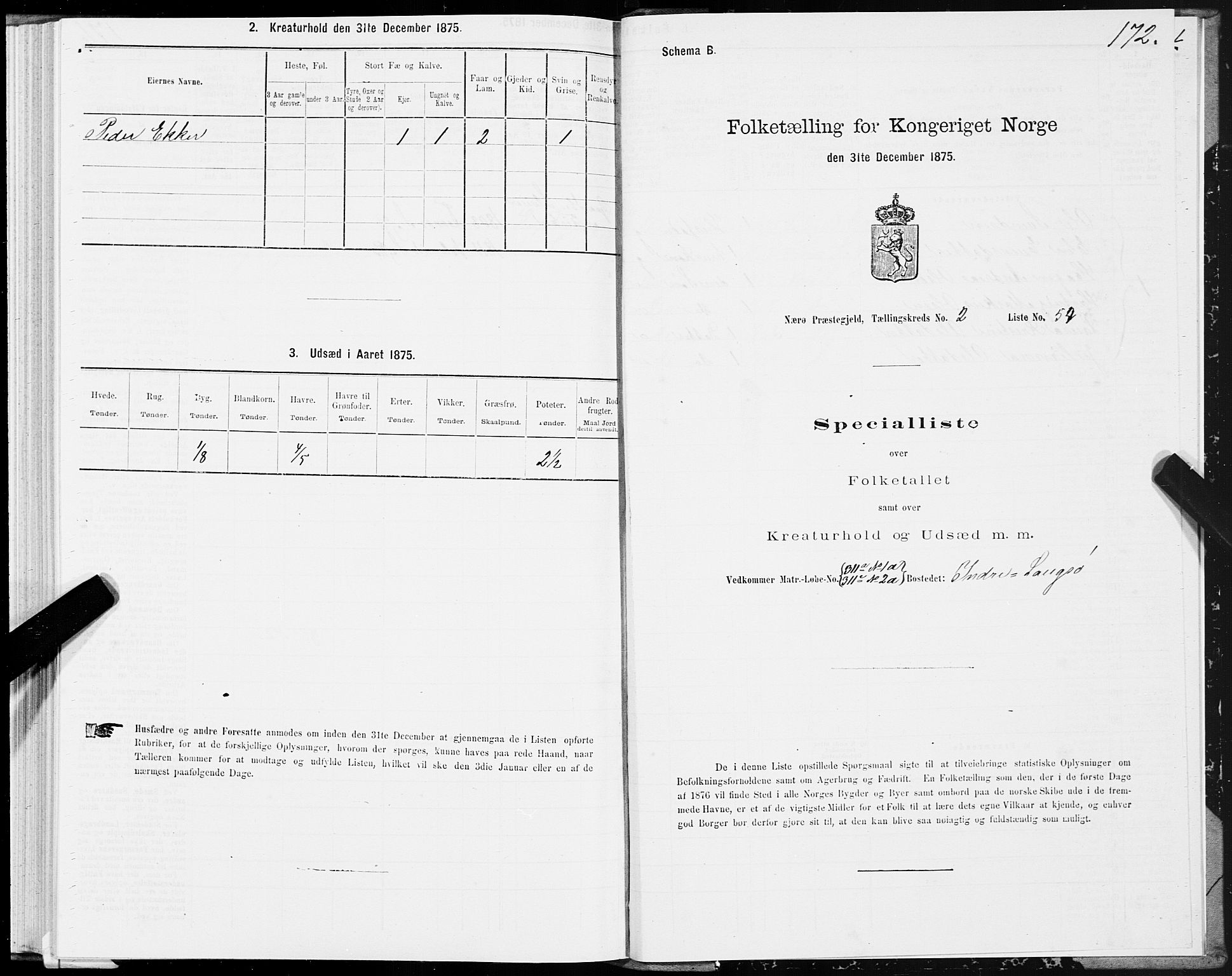 SAT, 1875 census for 1751P Nærøy, 1875, p. 1172