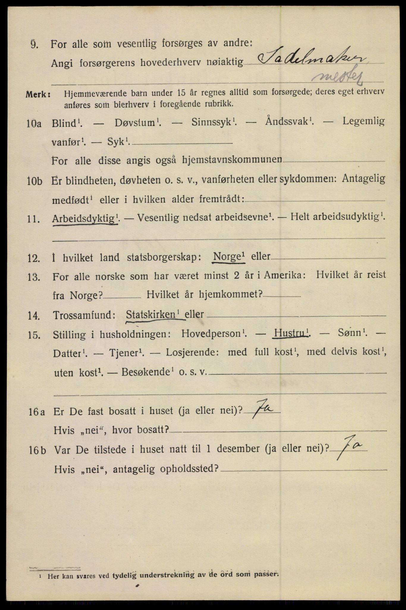 SAKO, 1920 census for Hønefoss, 1920, p. 2351