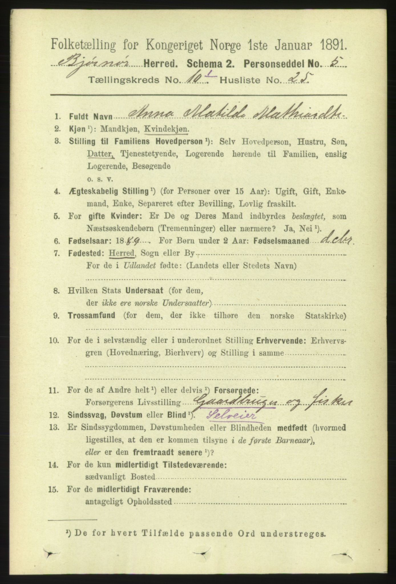 RA, 1891 census for 1632 Bjørnør, 1891, p. 4310