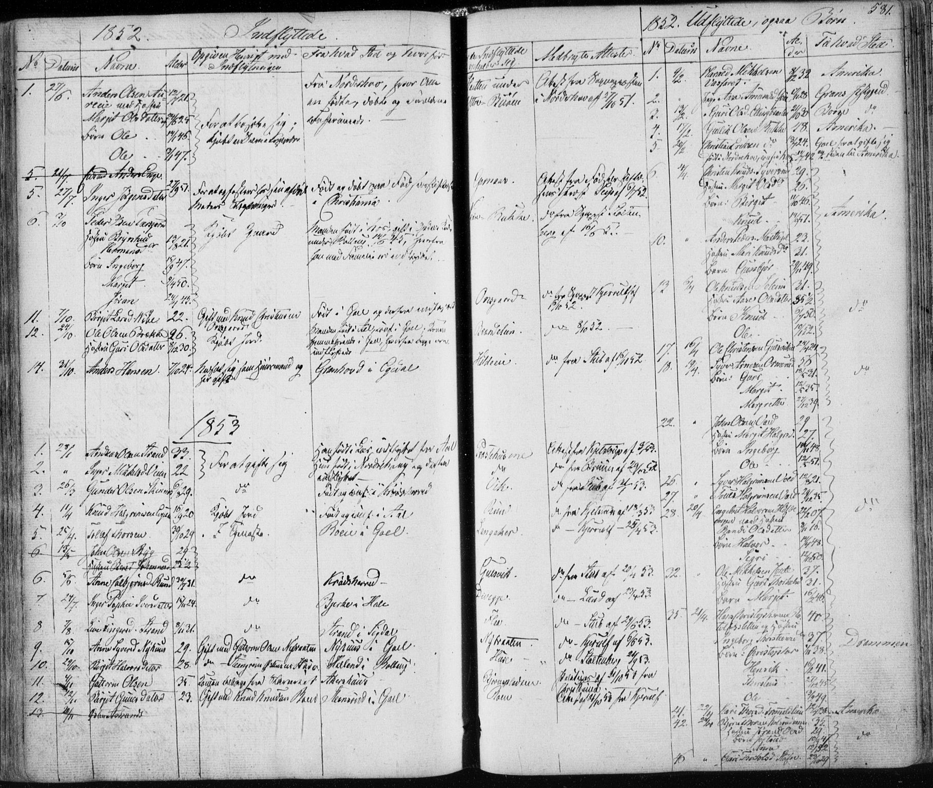 Nes kirkebøker, AV/SAKO-A-236/F/Fa/L0009: Parish register (official) no. 9, 1834-1863, p. 581