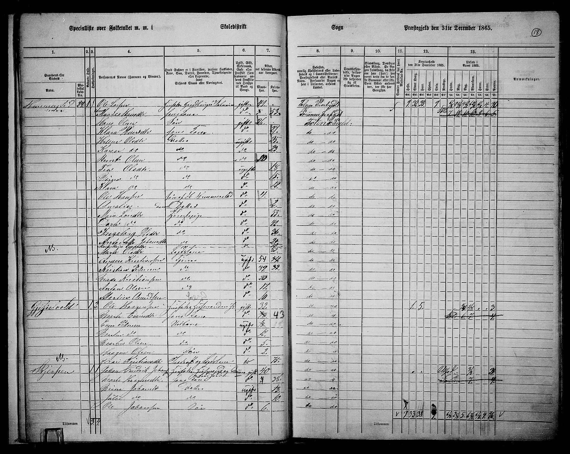 RA, 1865 census for Østre Toten, 1865, p. 34