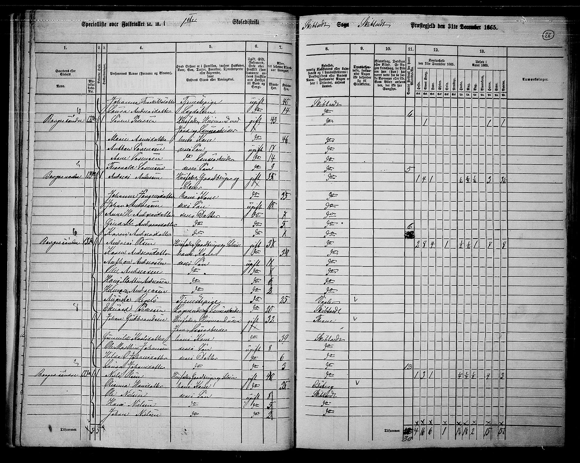 RA, 1865 census for Skiptvet, 1865, p. 27