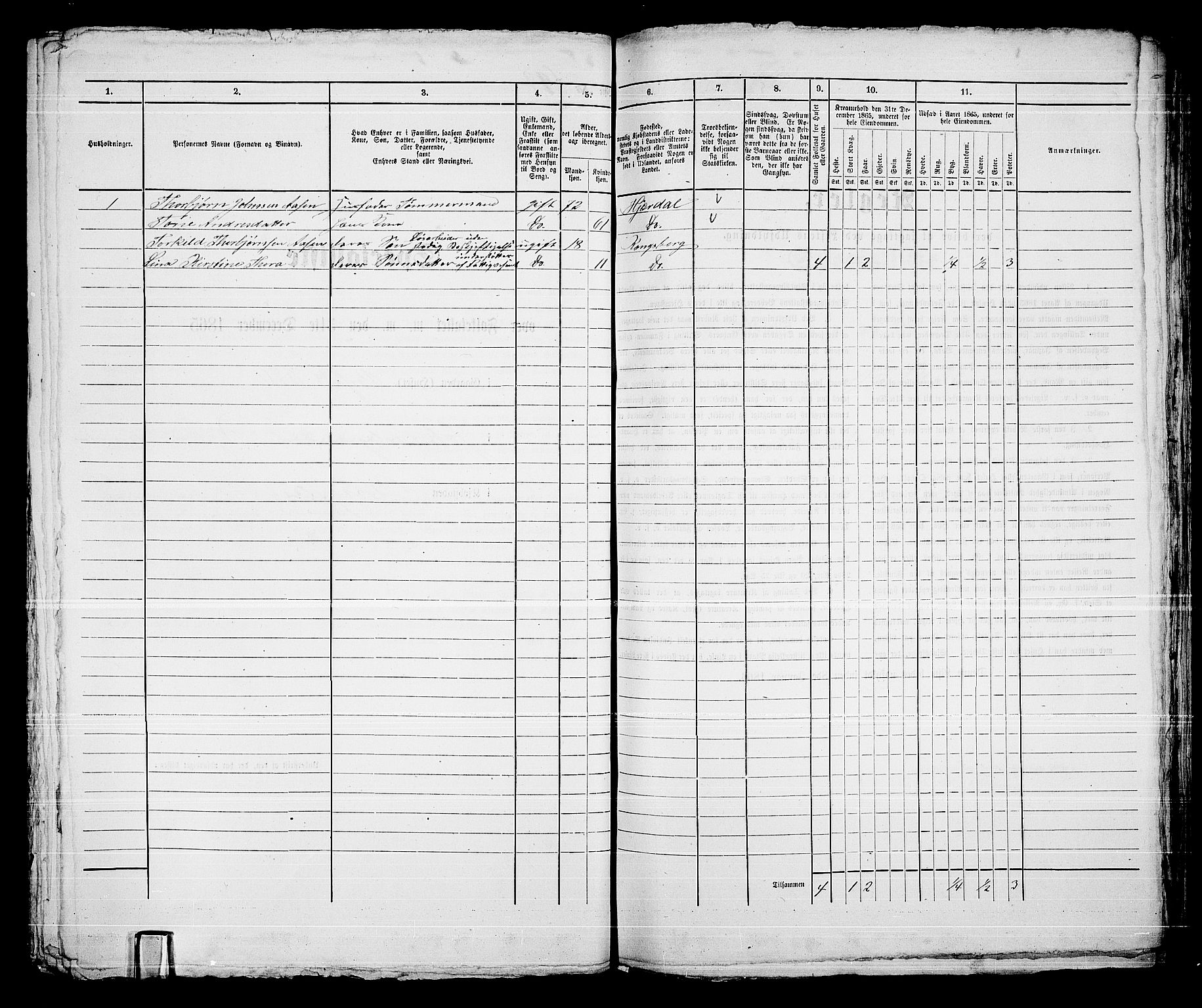 RA, 1865 census for Kongsberg/Kongsberg, 1865, p. 1428