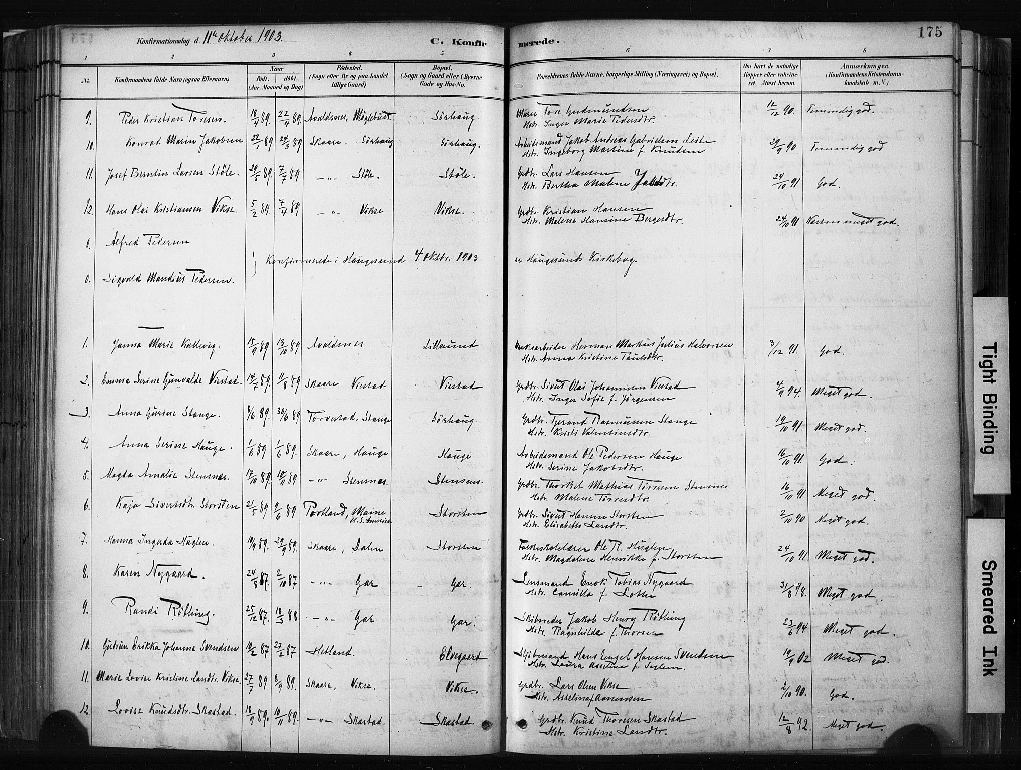 Haugesund sokneprestkontor, AV/SAST-A -101863/H/Ha/Haa/L0004: Parish register (official) no. A 4, 1886-1908, p. 175