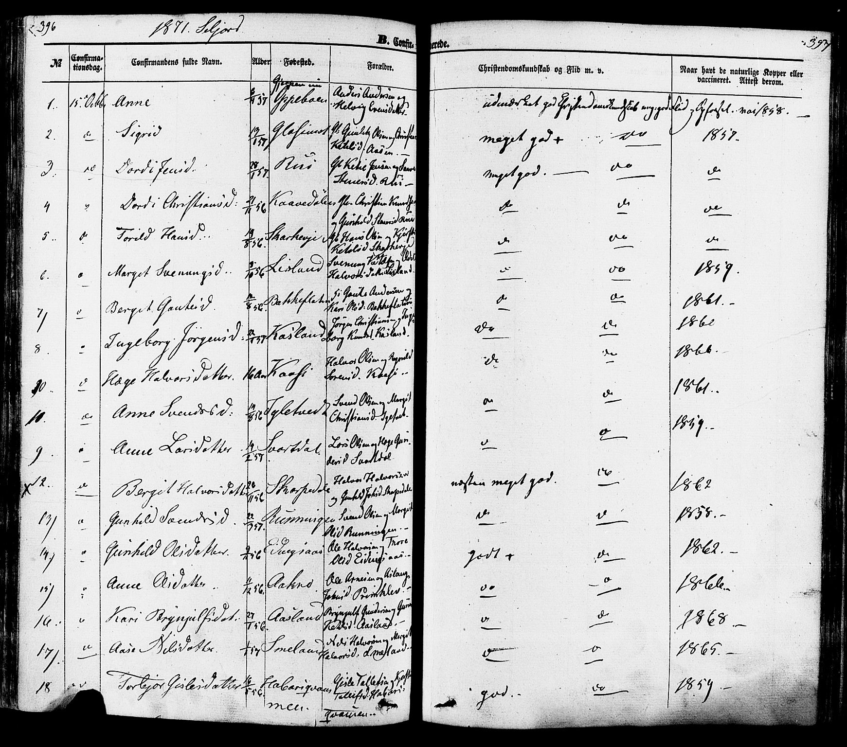 Seljord kirkebøker, SAKO/A-20/F/Fa/L0013: Parish register (official) no. I 13, 1866-1876, p. 396-397