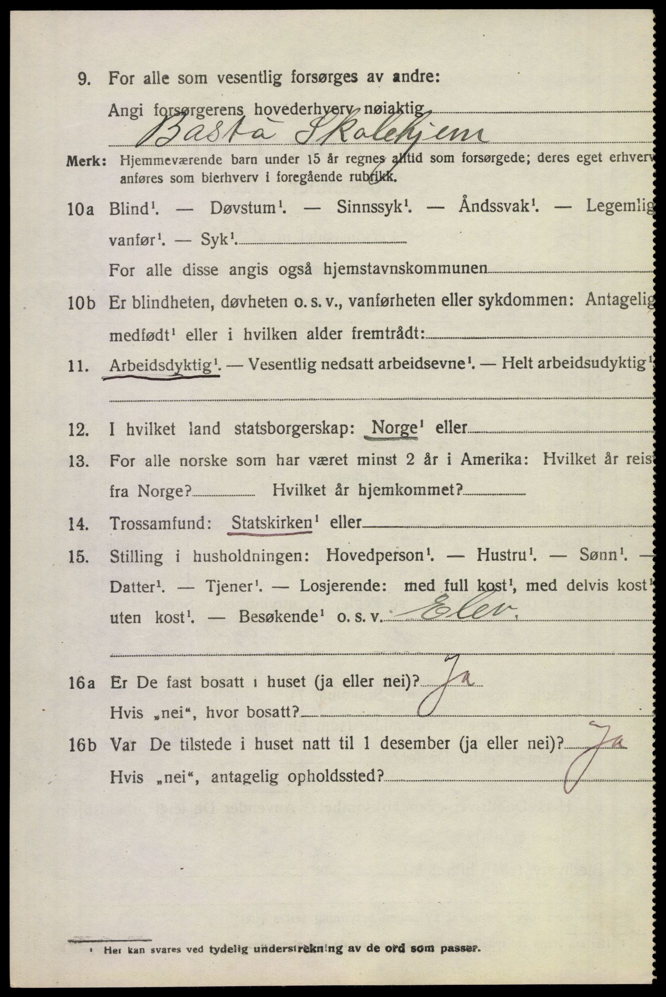 SAKO, 1920 census for Borre, 1920, p. 2541