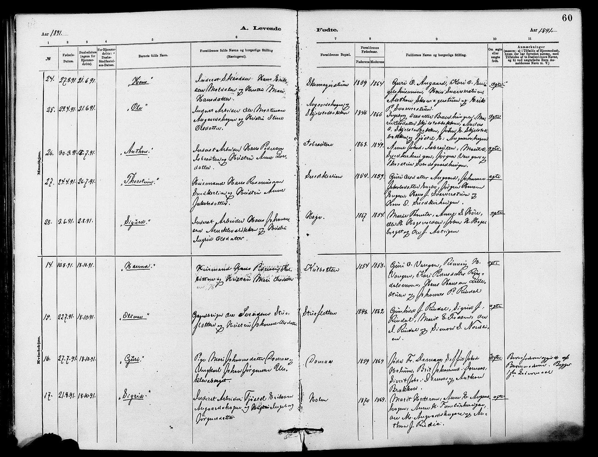 Dovre prestekontor, AV/SAH-PREST-066/H/Ha/Hab/L0002: Parish register (copy) no. 2, 1881-1907, p. 60