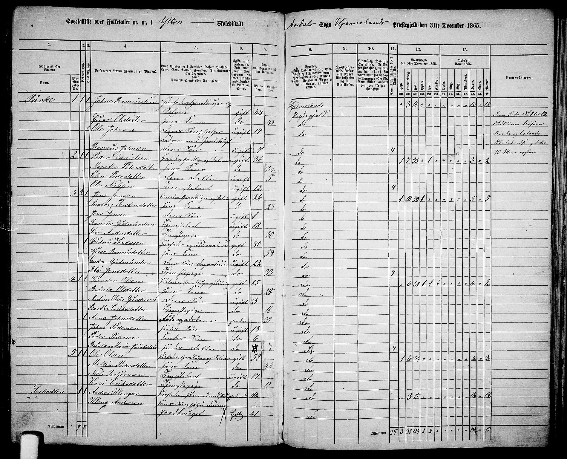 RA, 1865 census for Hjelmeland, 1865, p. 150