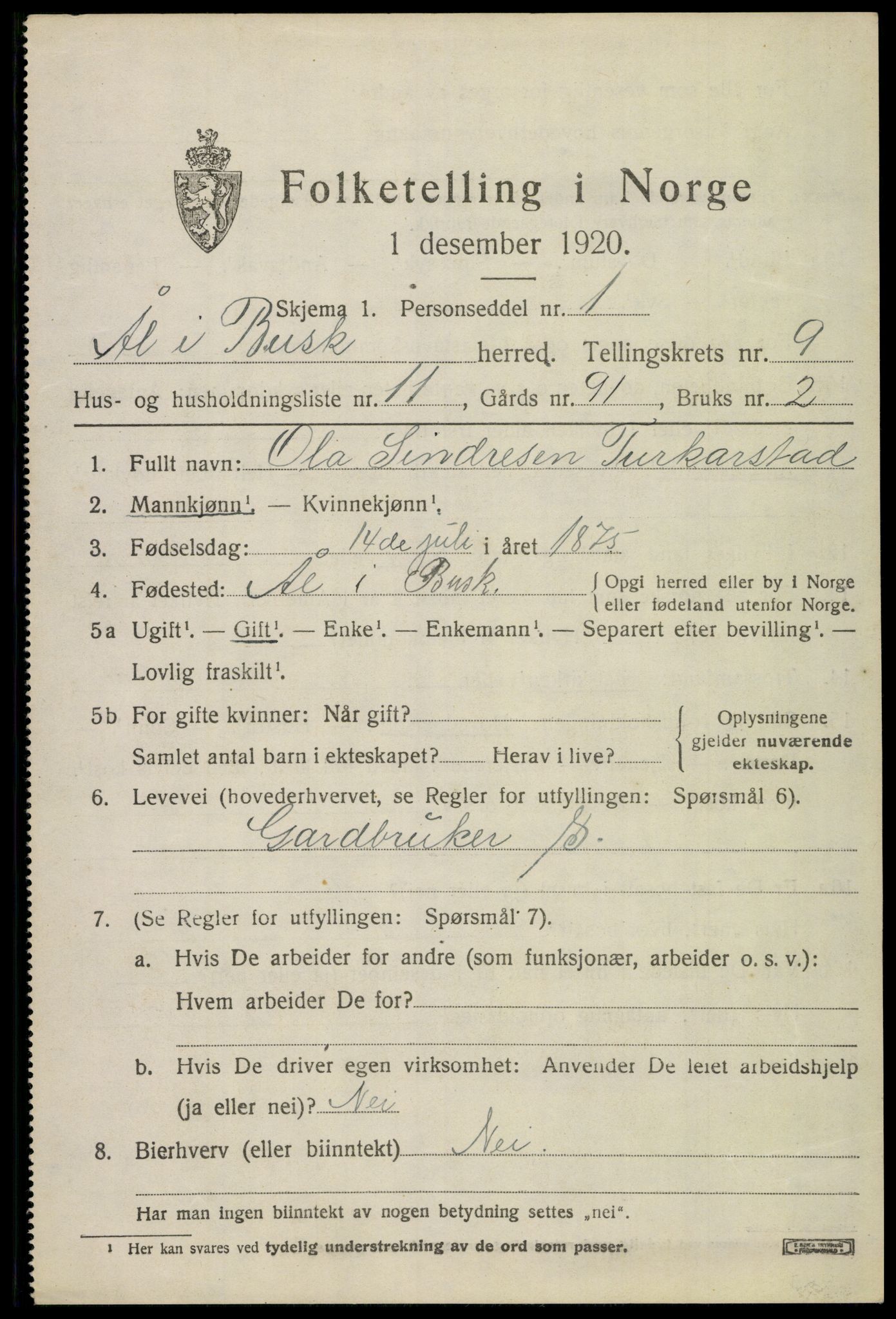 SAKO, 1920 census for Ål, 1920, p. 5794