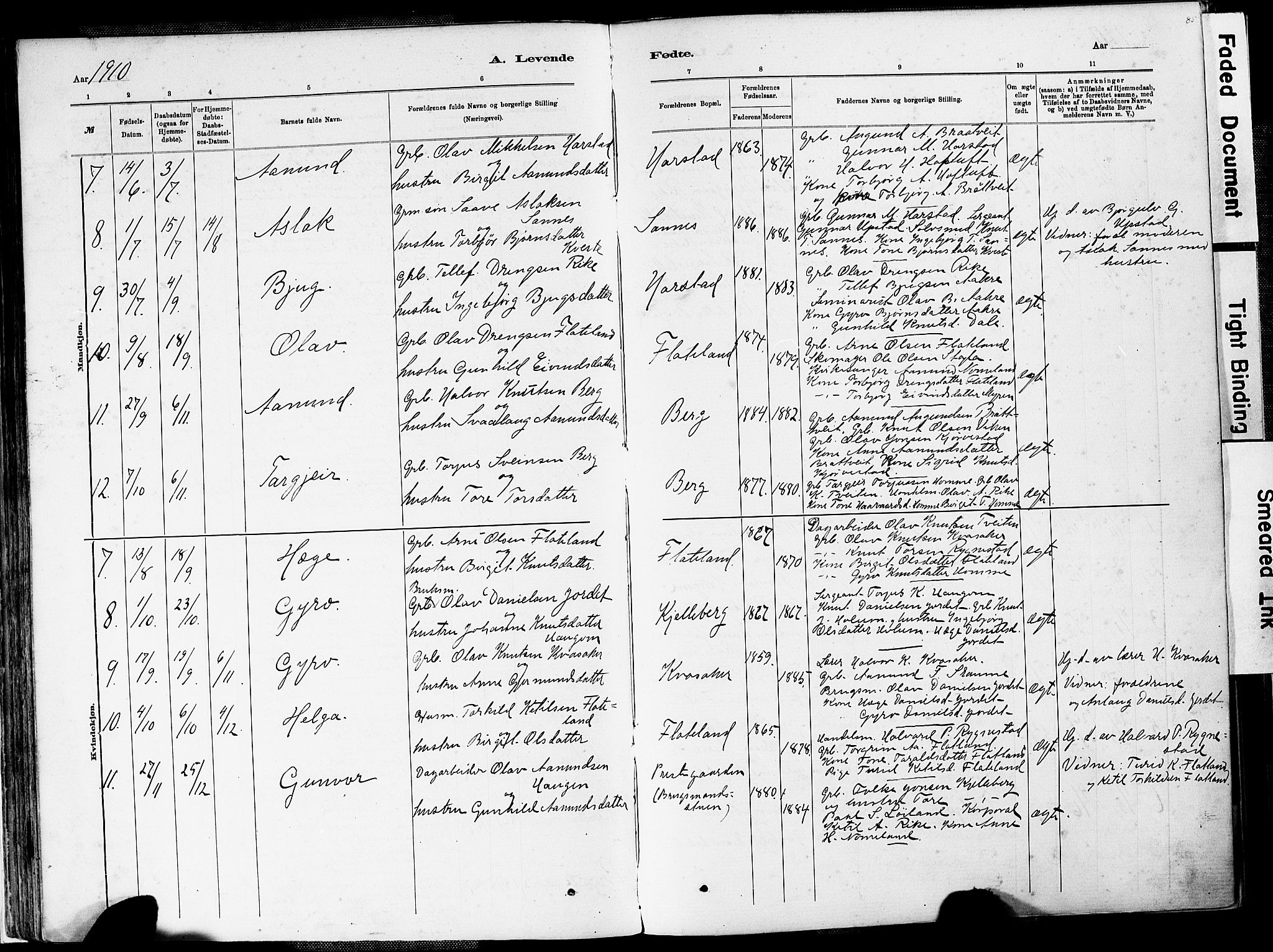 Valle sokneprestkontor, AV/SAK-1111-0044/F/Fa/Fac/L0009: Parish register (official) no. A 9, 1882-1913, p. 85