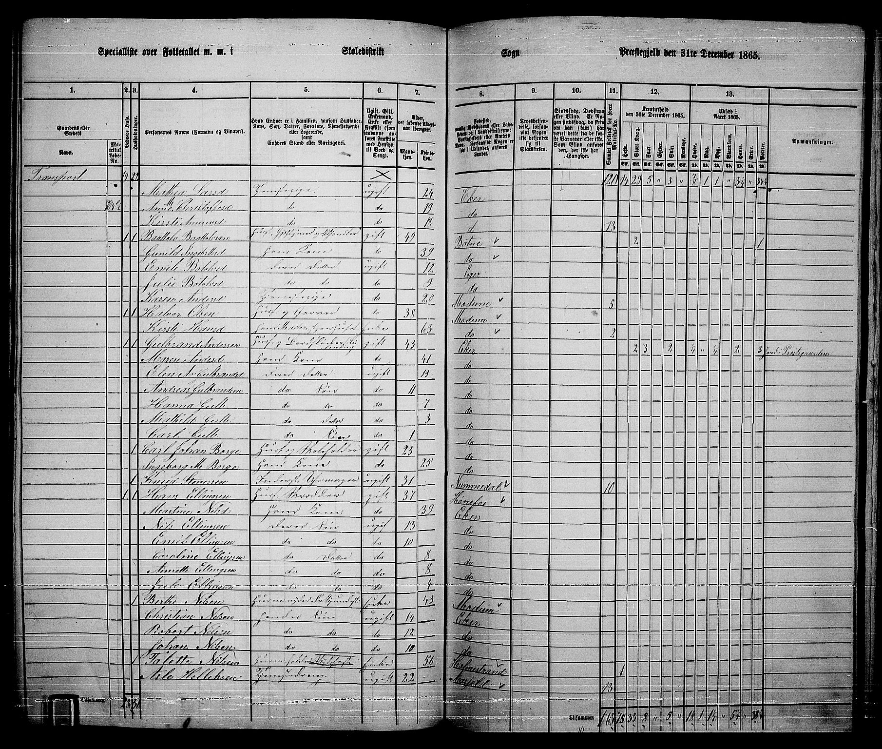 RA, 1865 census for Eiker, 1865, p. 216