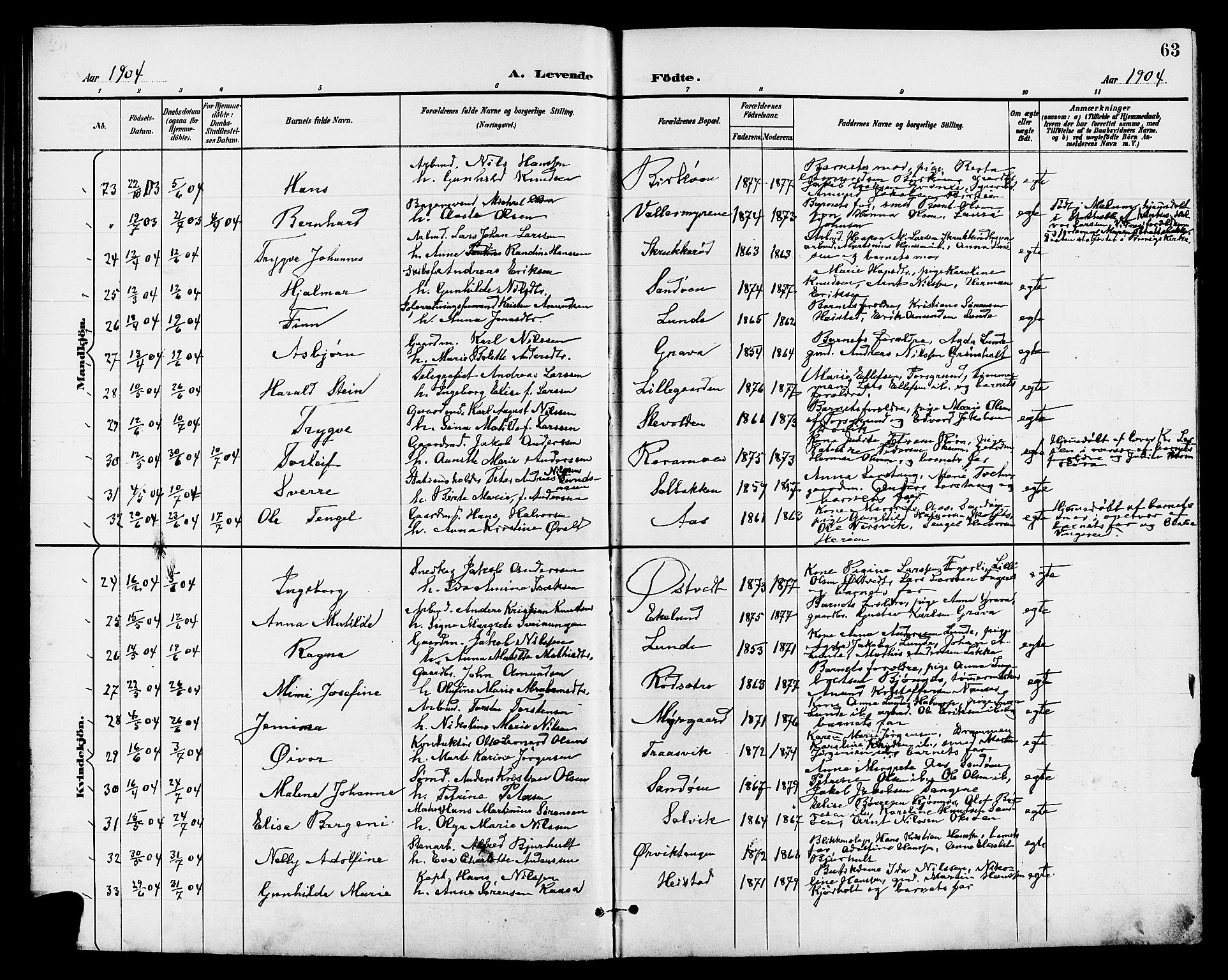 Eidanger kirkebøker, AV/SAKO-A-261/G/Ga/L0003: Parish register (copy) no. 3, 1893-1911, p. 63