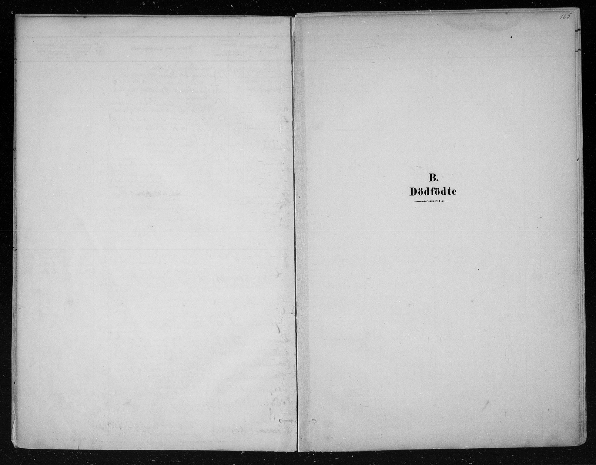 Nes kirkebøker, SAKO/A-236/F/Fa/L0011: Parish register (official) no. 11, 1881-1912, p. 165