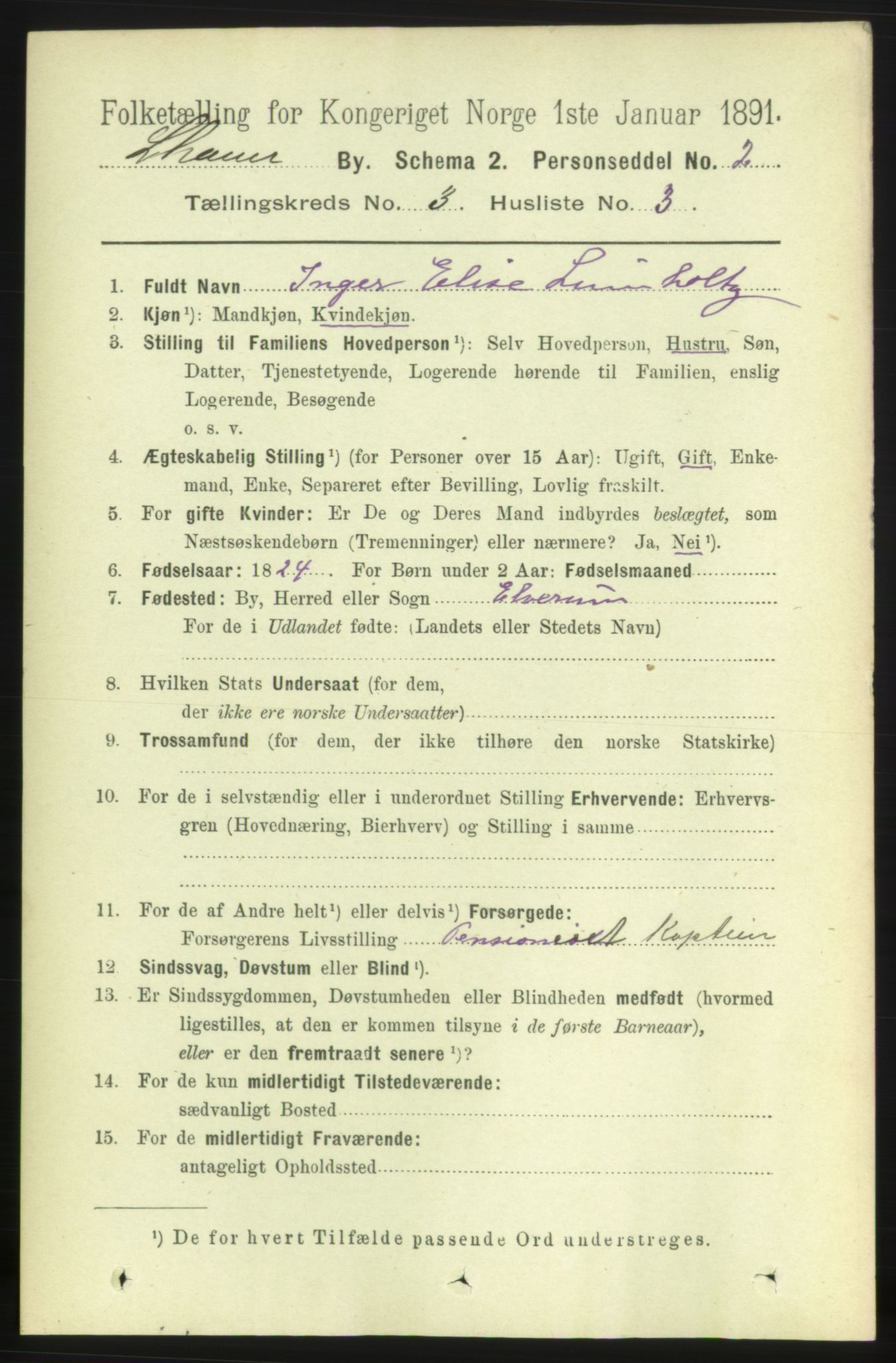 RA, 1891 census for 0501 Lillehammer, 1891, p. 2017