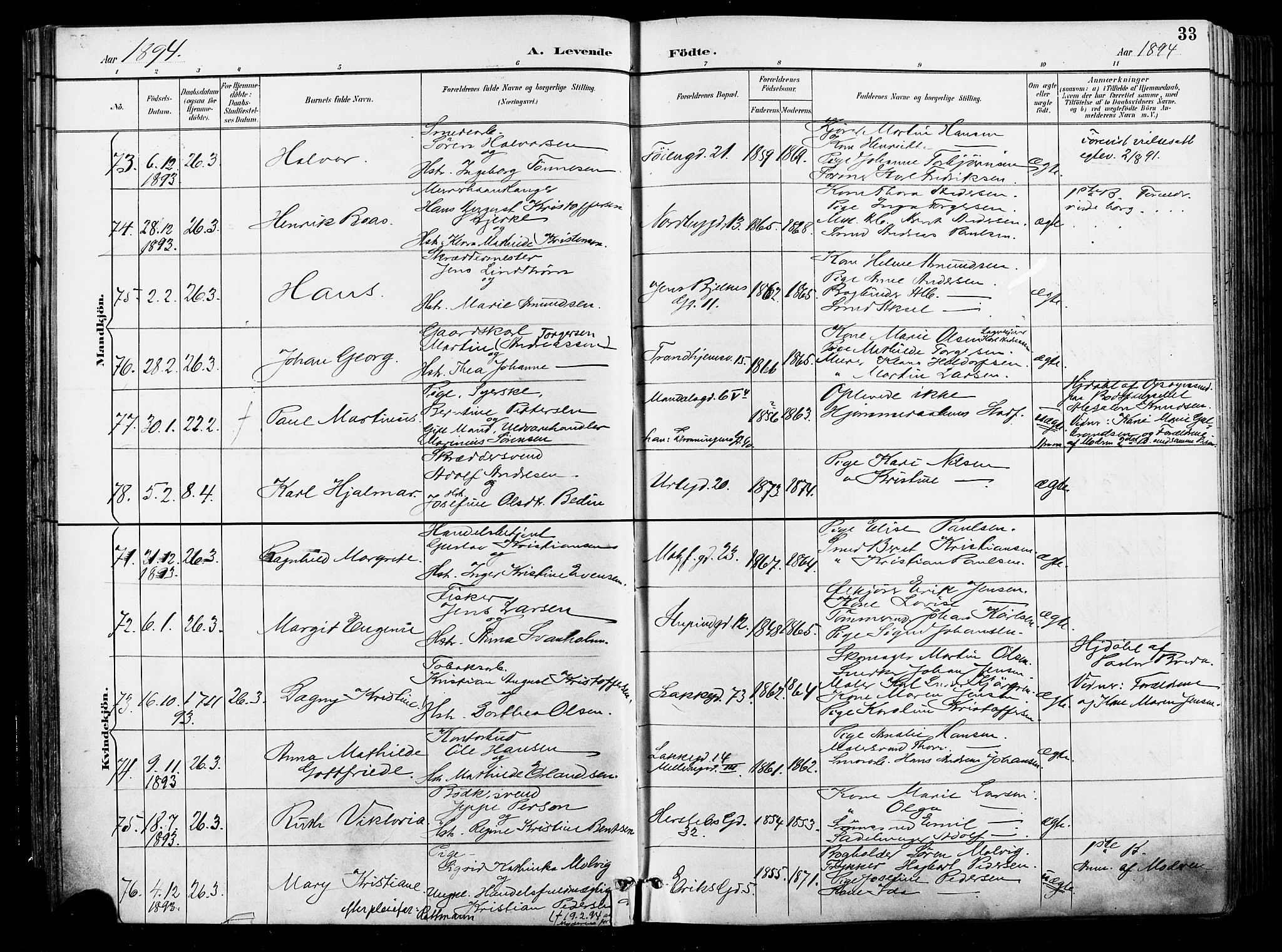 Grønland prestekontor Kirkebøker, SAO/A-10848/F/Fa/L0012: Parish register (official) no. 12, 1893-1900, p. 33