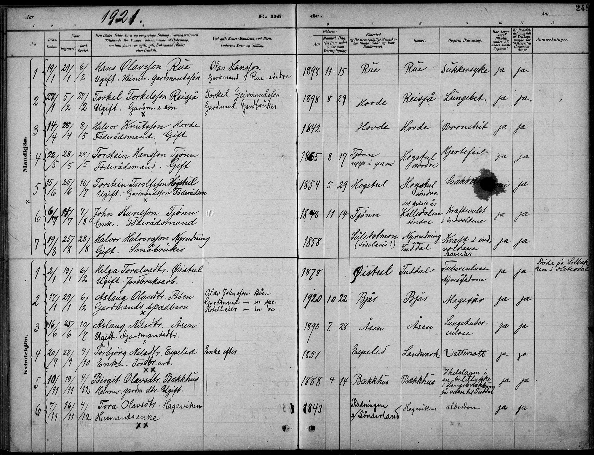Hjartdal kirkebøker, AV/SAKO-A-270/F/Fc/L0002: Parish register (official) no. III 2, 1880-1936, p. 248