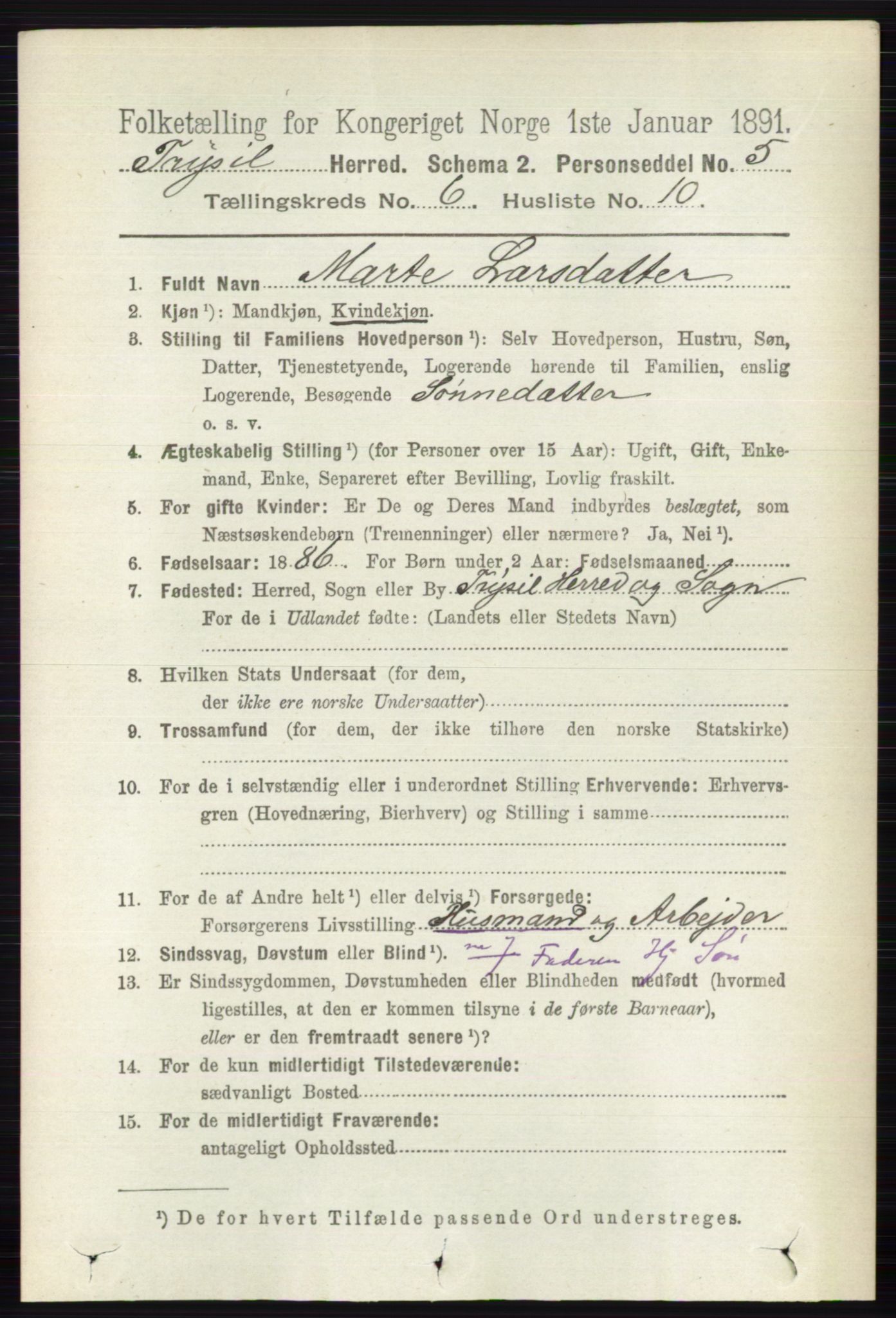 RA, 1891 census for 0428 Trysil, 1891, p. 2848