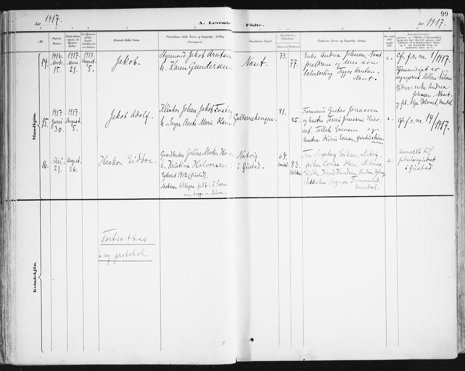 Hisøy sokneprestkontor, AV/SAK-1111-0020/F/Fa/L0004: Parish register (official) no. A 4, 1895-1917, p. 99