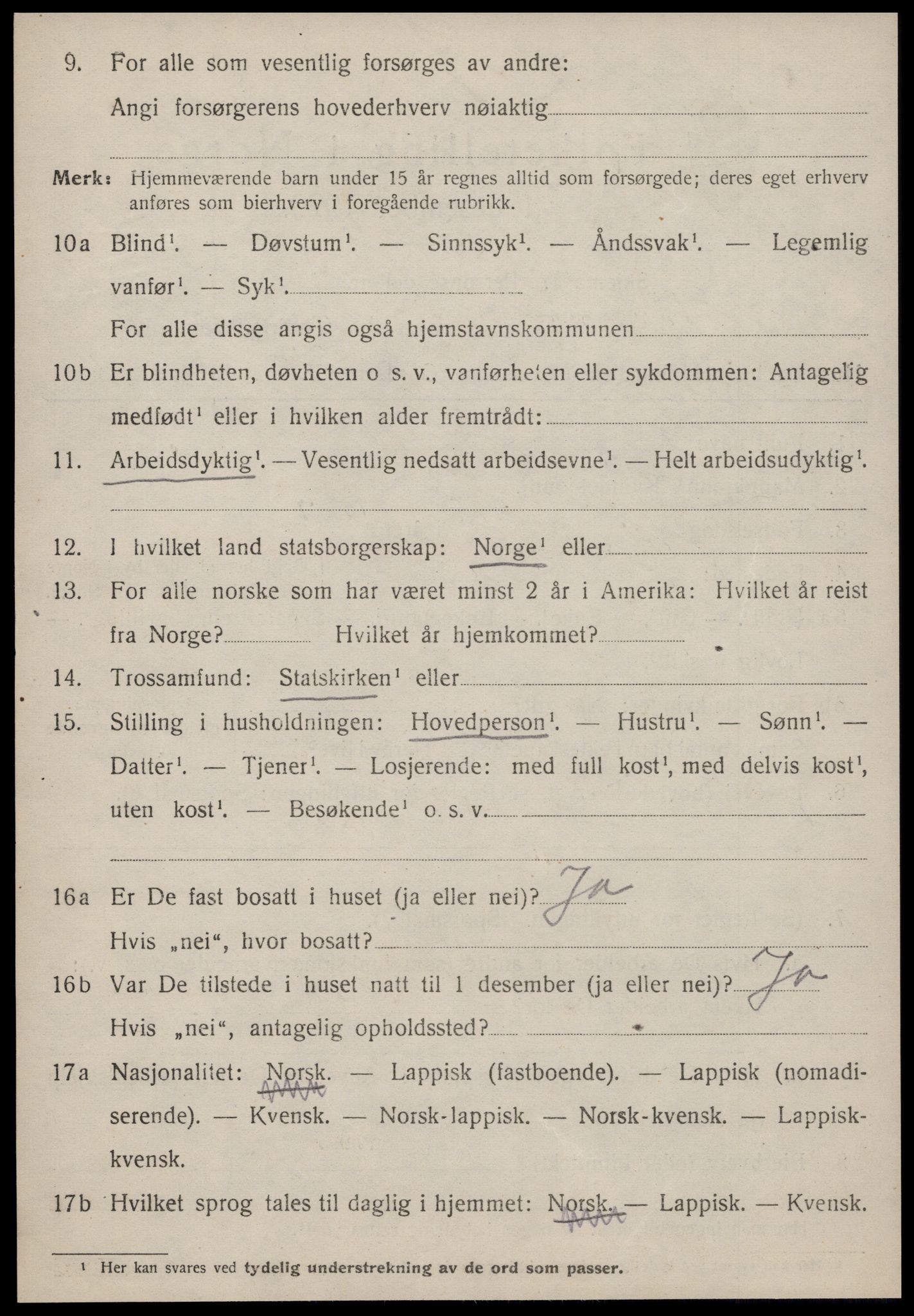 SAT, 1920 census for Strinda, 1920, p. 12917