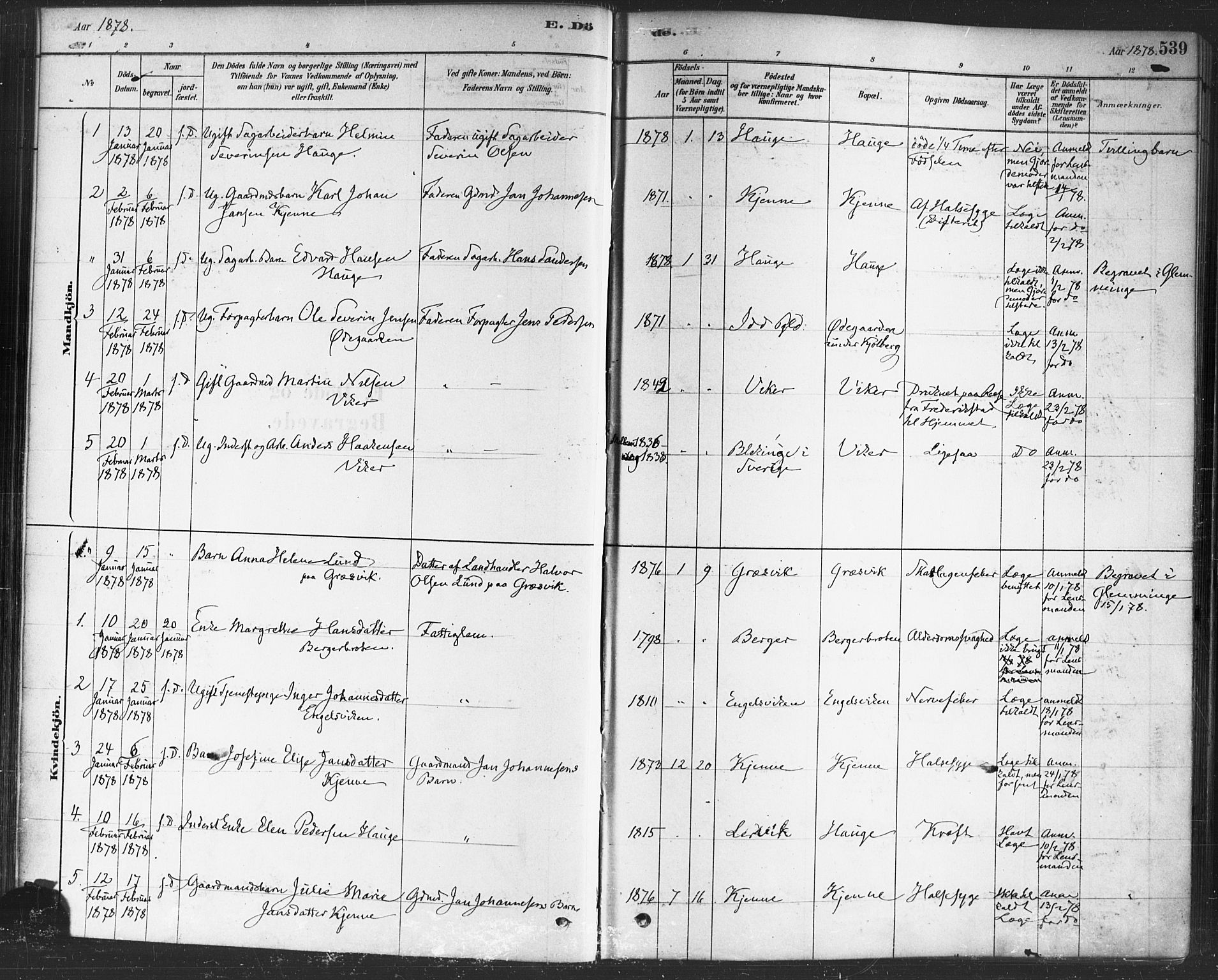 Onsøy prestekontor Kirkebøker, SAO/A-10914/F/Fa/L0006: Parish register (official) no. I 6, 1878-1898, p. 539
