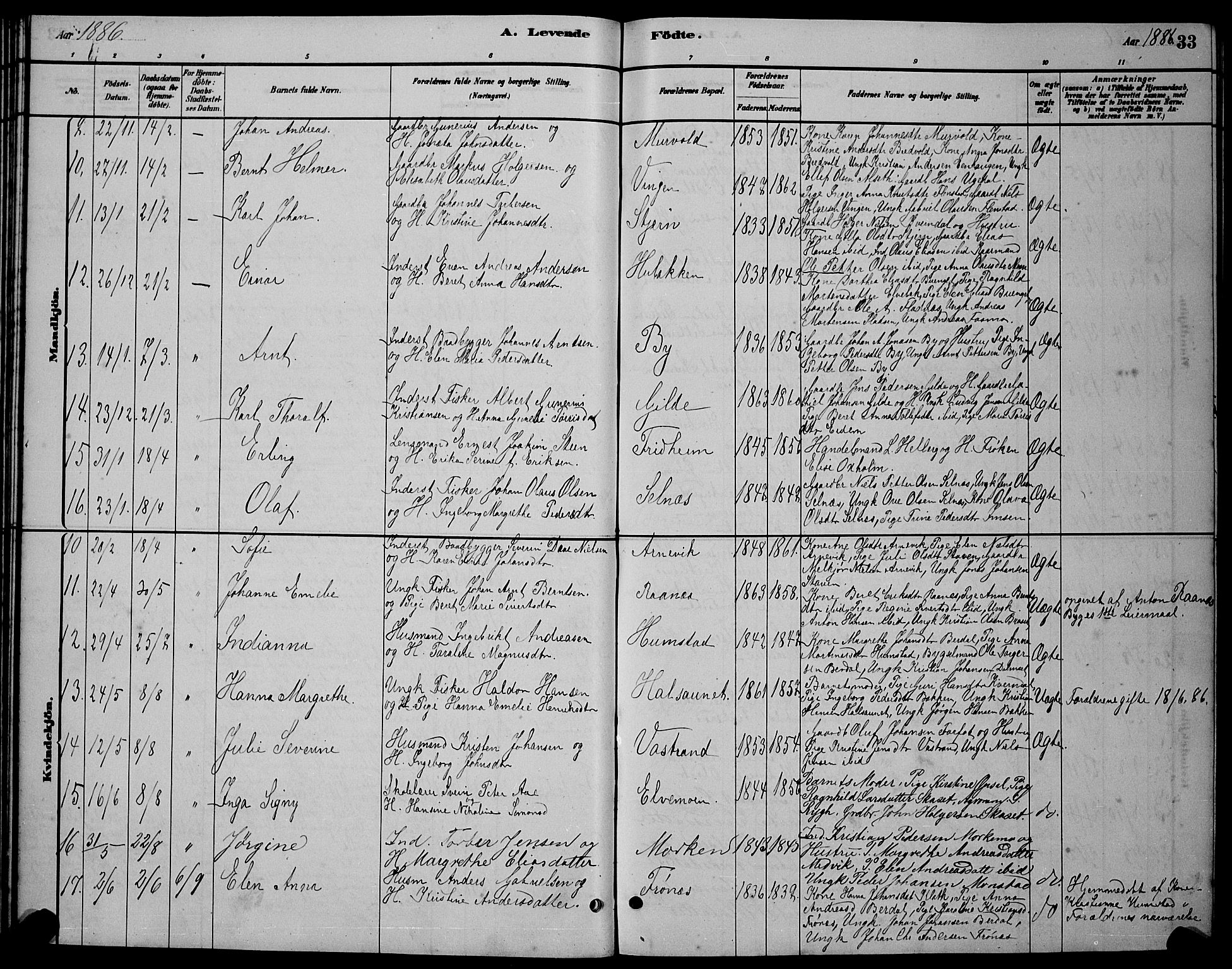 Ministerialprotokoller, klokkerbøker og fødselsregistre - Sør-Trøndelag, AV/SAT-A-1456/655/L0687: Parish register (copy) no. 655C03, 1880-1898, p. 33