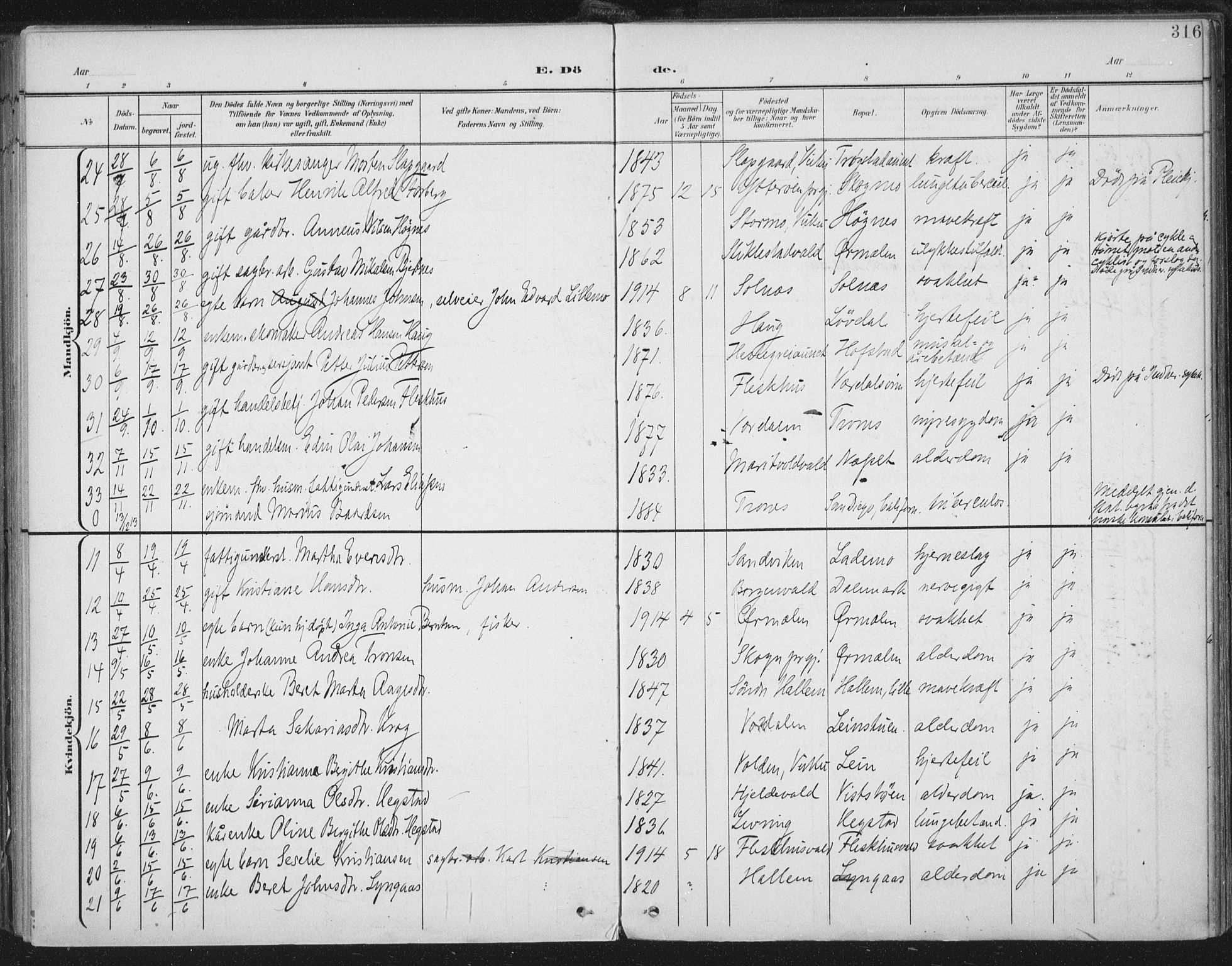 Ministerialprotokoller, klokkerbøker og fødselsregistre - Nord-Trøndelag, SAT/A-1458/723/L0246: Parish register (official) no. 723A15, 1900-1917, p. 316