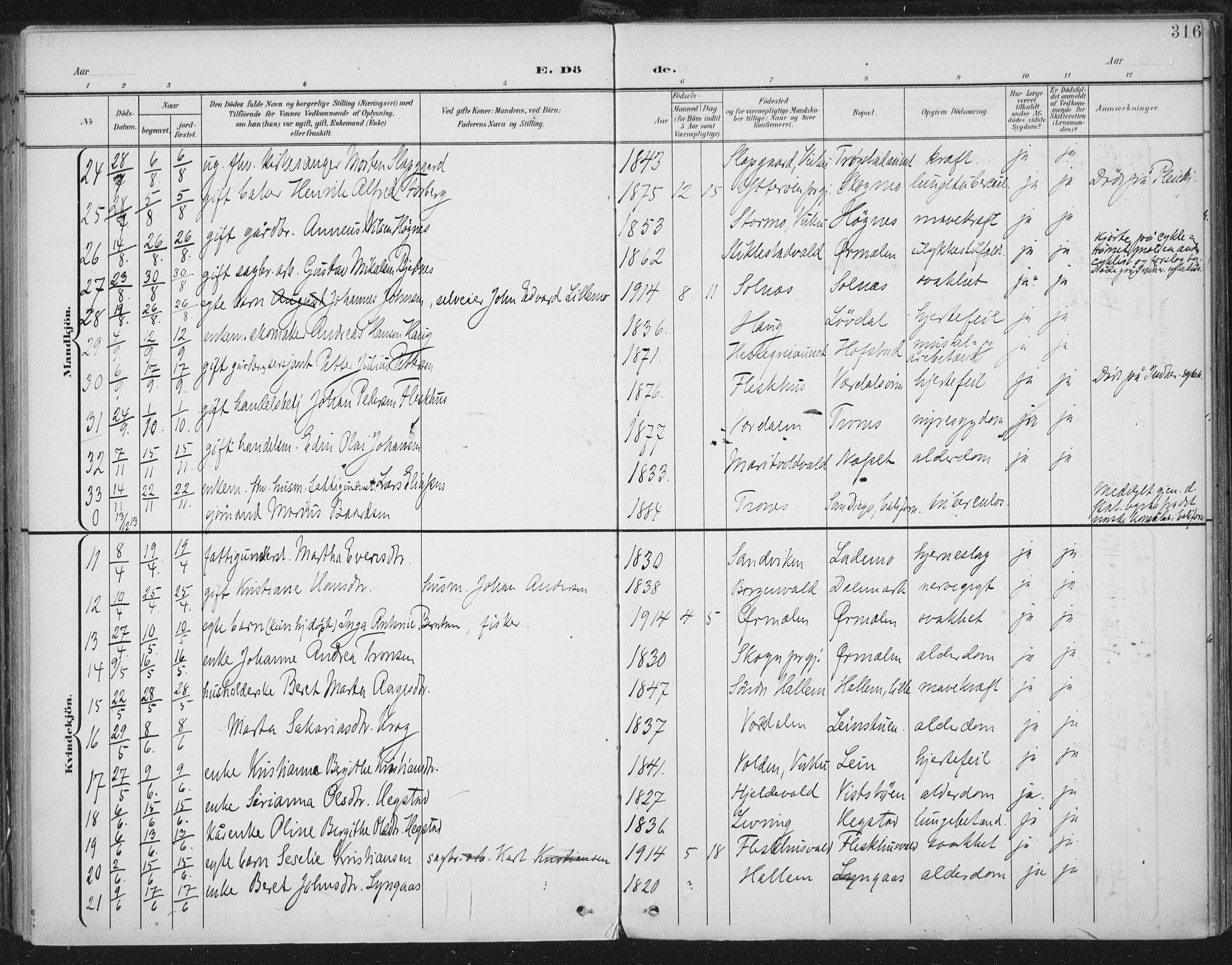 Ministerialprotokoller, klokkerbøker og fødselsregistre - Nord-Trøndelag, AV/SAT-A-1458/723/L0246: Parish register (official) no. 723A15, 1900-1917, p. 316