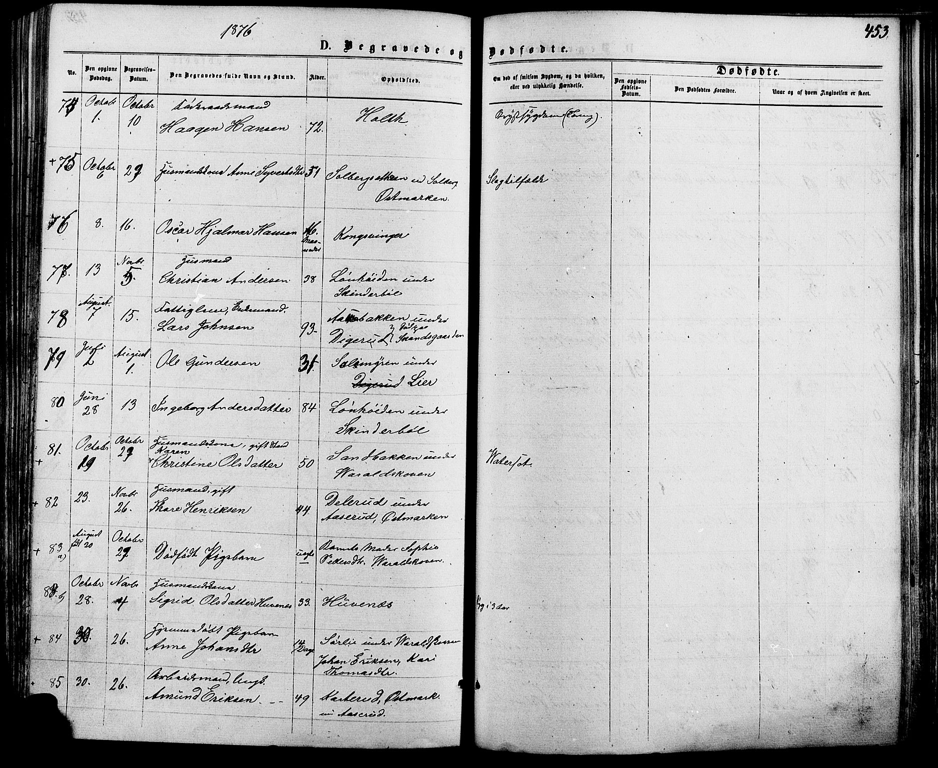 Vinger prestekontor, SAH/PREST-024/H/Ha/Haa/L0012: Parish register (official) no. 12, 1871-1880, p. 453