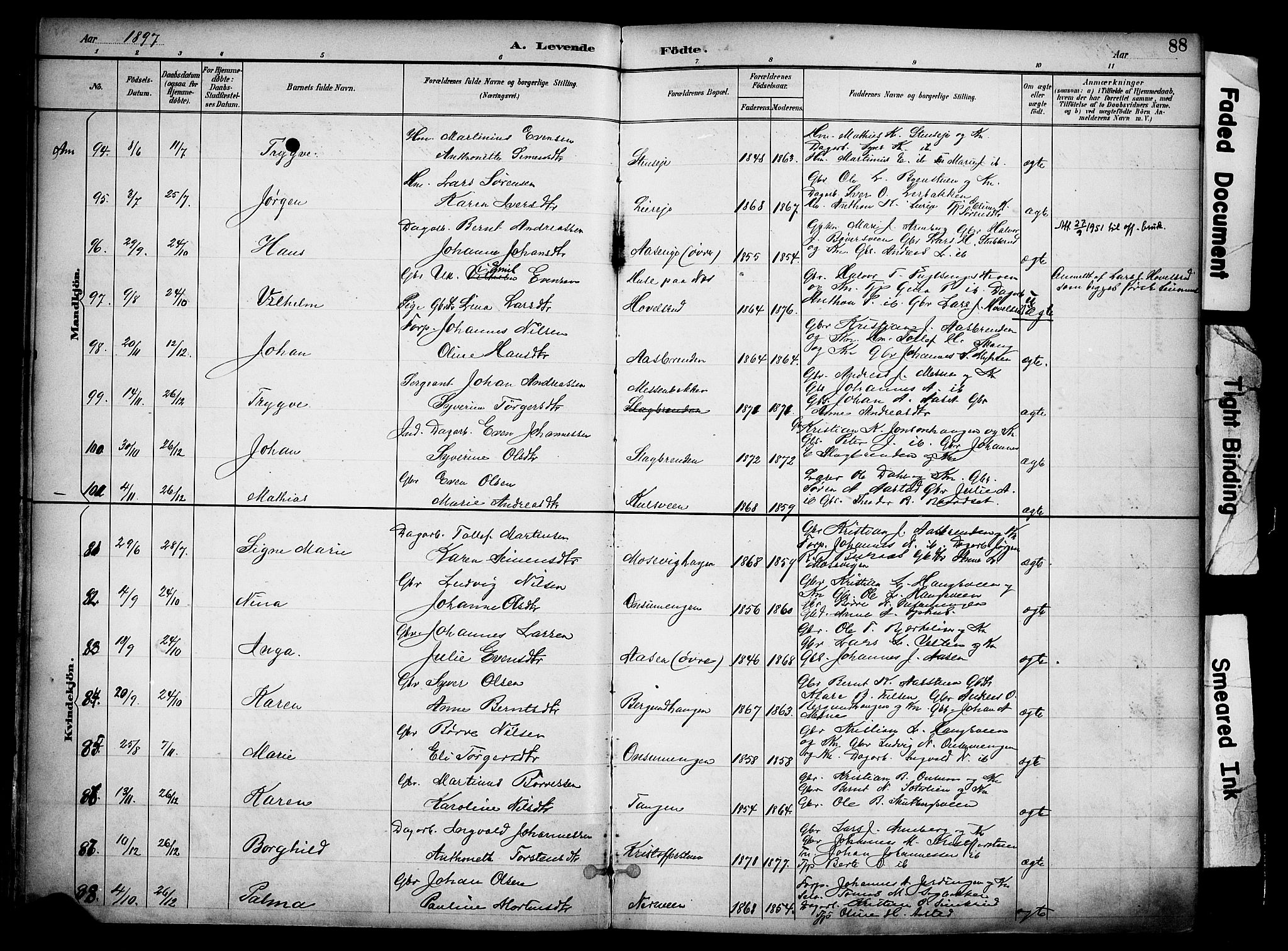 Ringsaker prestekontor, AV/SAH-PREST-014/K/Ka/L0017: Parish register (official) no. 17, 1891-1902, p. 88