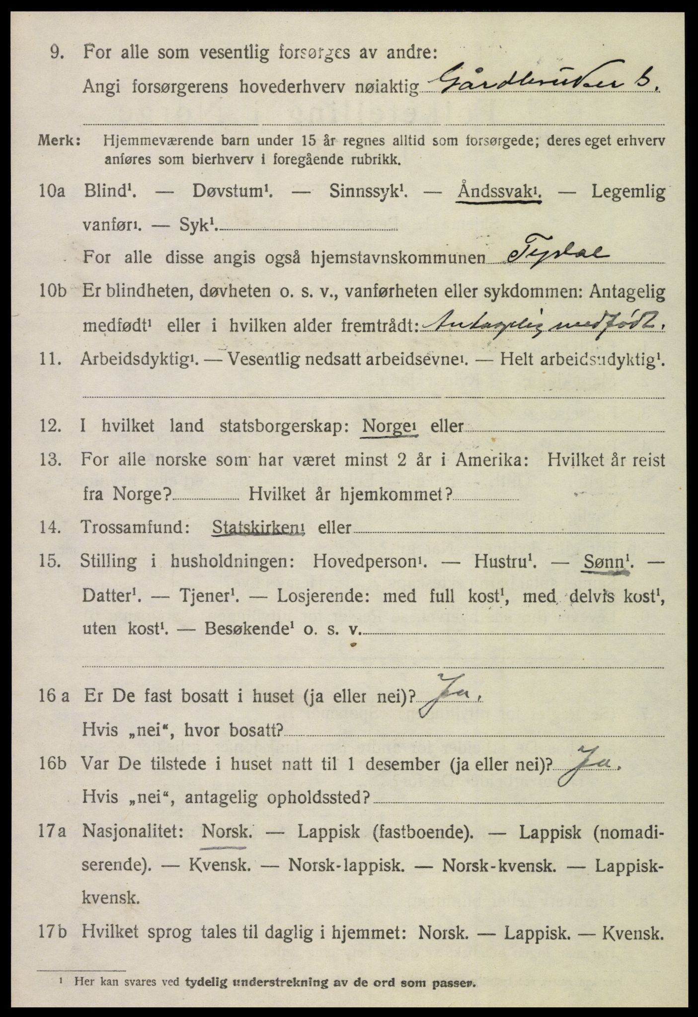 SAT, 1920 census for Tydal, 1920, p. 866