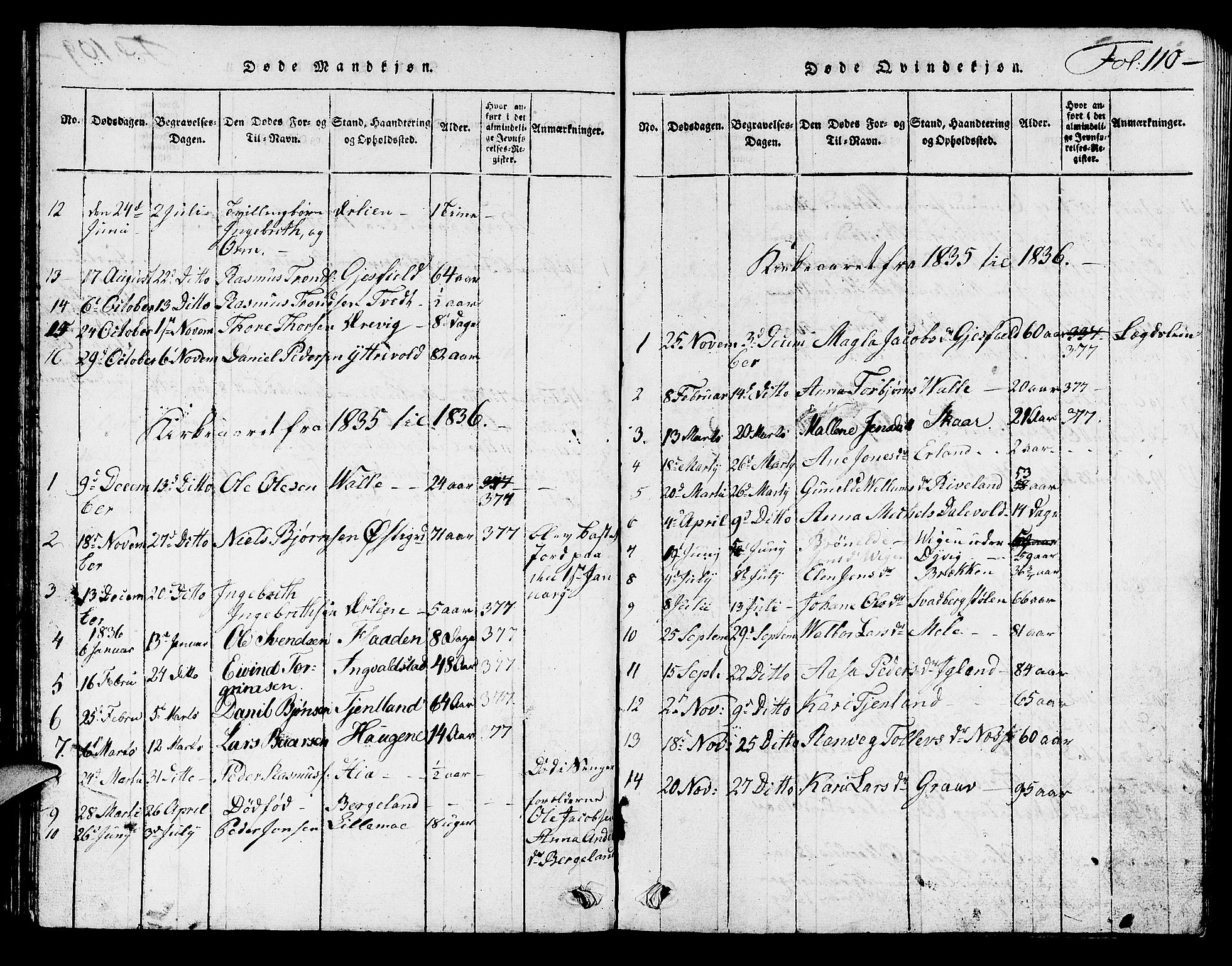 Hjelmeland sokneprestkontor, SAST/A-101843/01/V/L0002: Parish register (copy) no. B 2, 1816-1841, p. 110