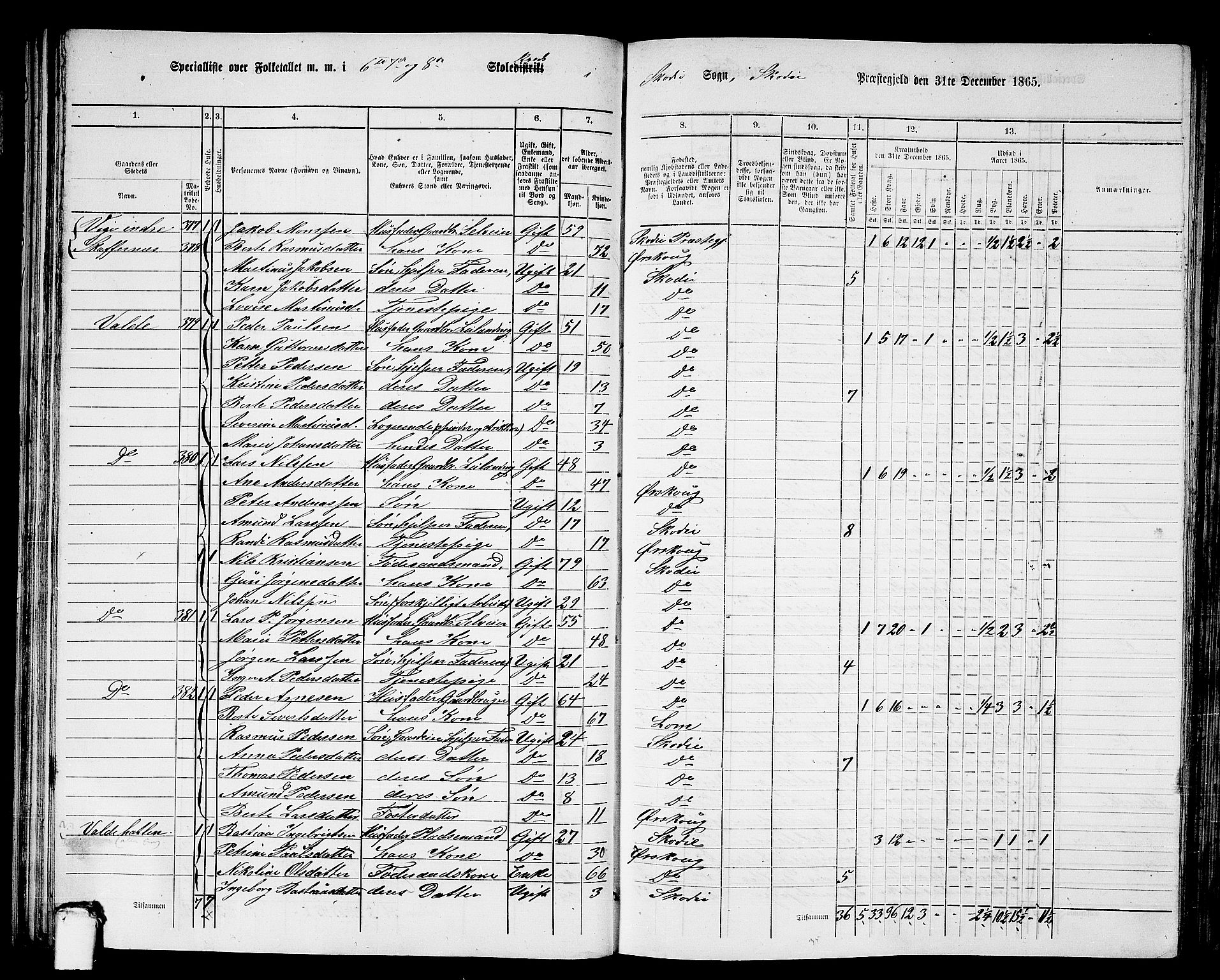 RA, 1865 census for Skodje, 1865, p. 50