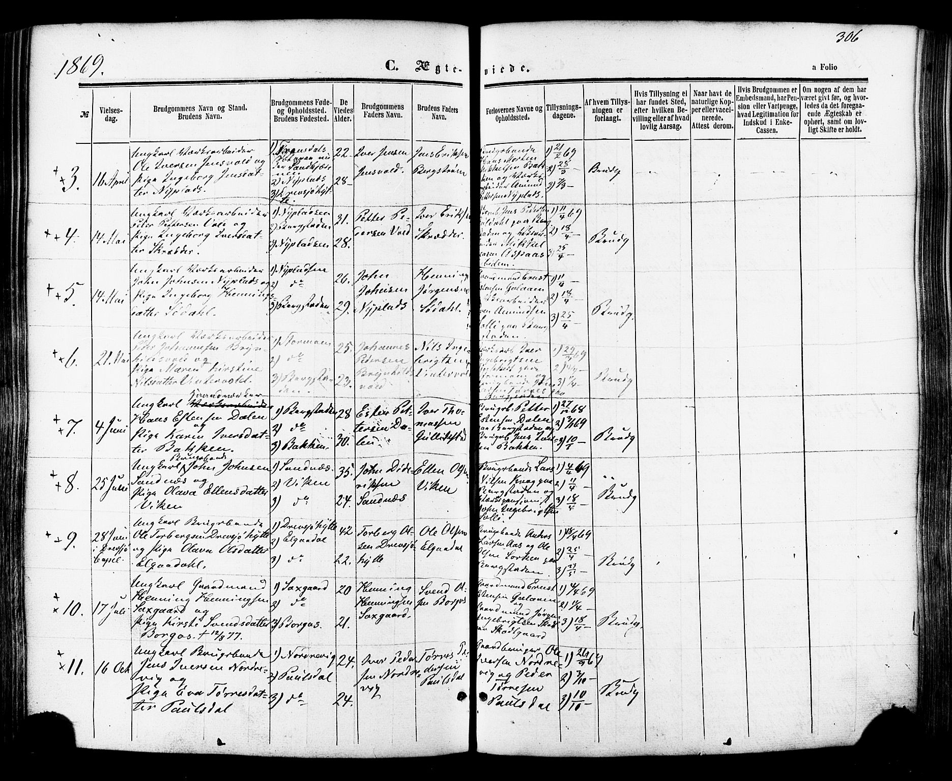 Ministerialprotokoller, klokkerbøker og fødselsregistre - Sør-Trøndelag, AV/SAT-A-1456/681/L0932: Parish register (official) no. 681A10, 1860-1878, p. 306