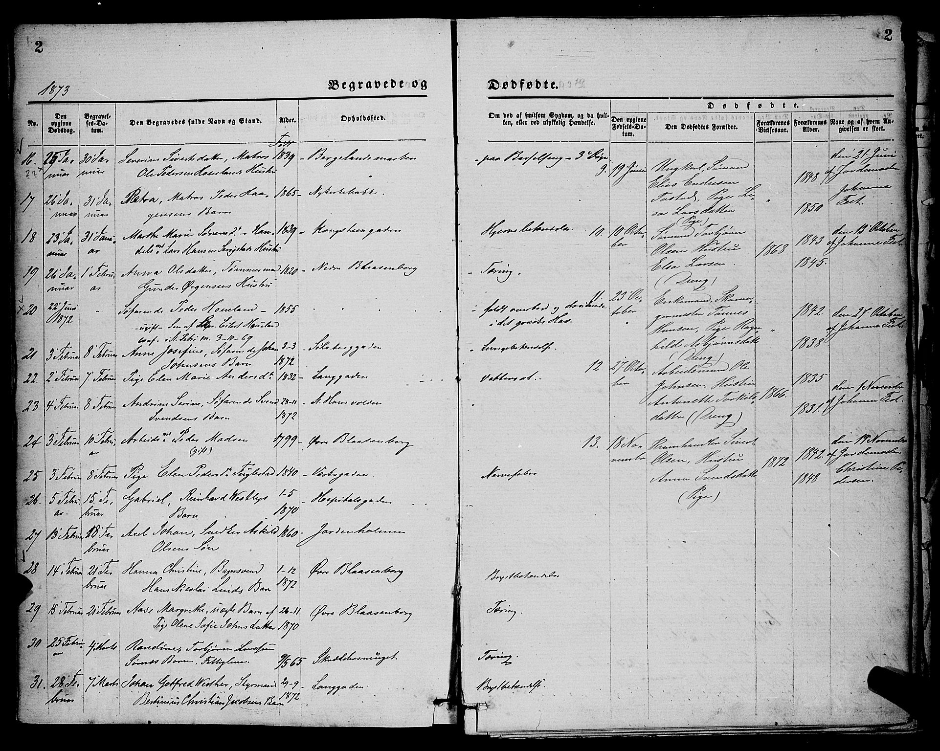 St. Petri sokneprestkontor, AV/SAST-A-101813/001/30/30BA/L0012: Parish register (official) no. A 12, 1873-1878, p. 2