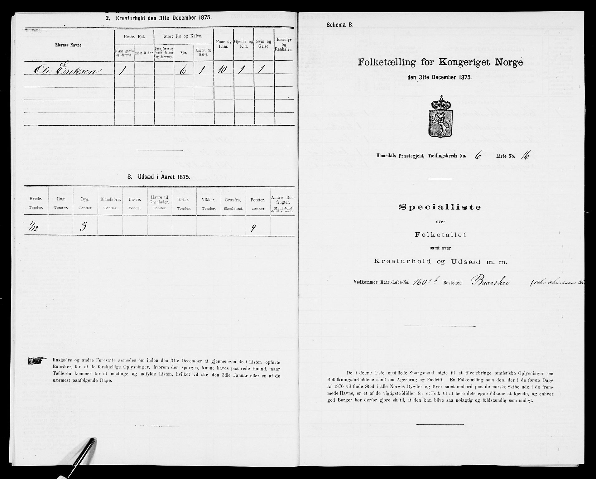 SAK, 1875 census for 0924P Homedal, 1875, p. 1068