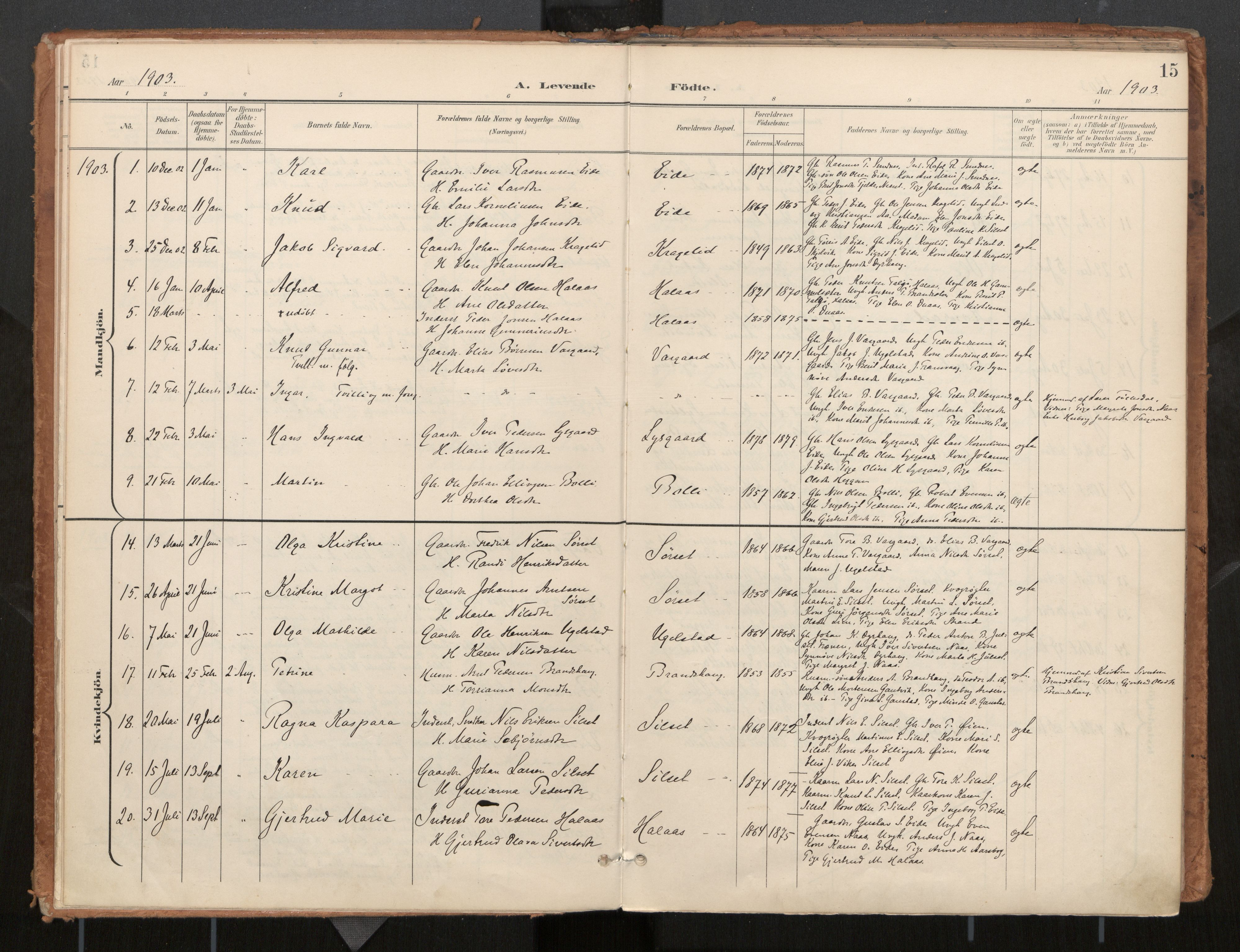 Ministerialprotokoller, klokkerbøker og fødselsregistre - Møre og Romsdal, AV/SAT-A-1454/571/L0836a: Parish register (official) no. 571A02, 1898-1910, p. 15