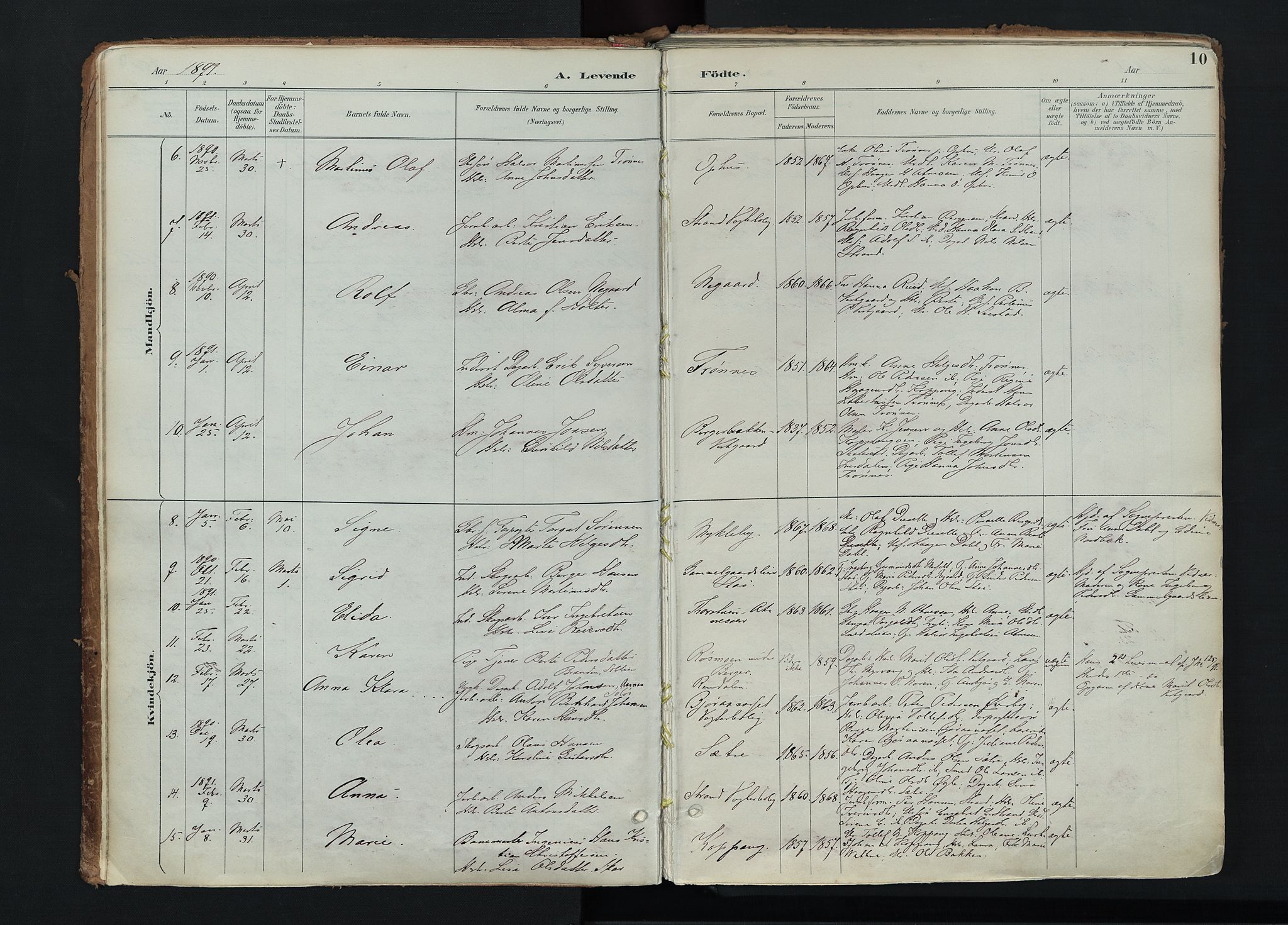 Stor-Elvdal prestekontor, AV/SAH-PREST-052/H/Ha/Haa/L0004: Parish register (official) no. 4, 1890-1922, p. 10