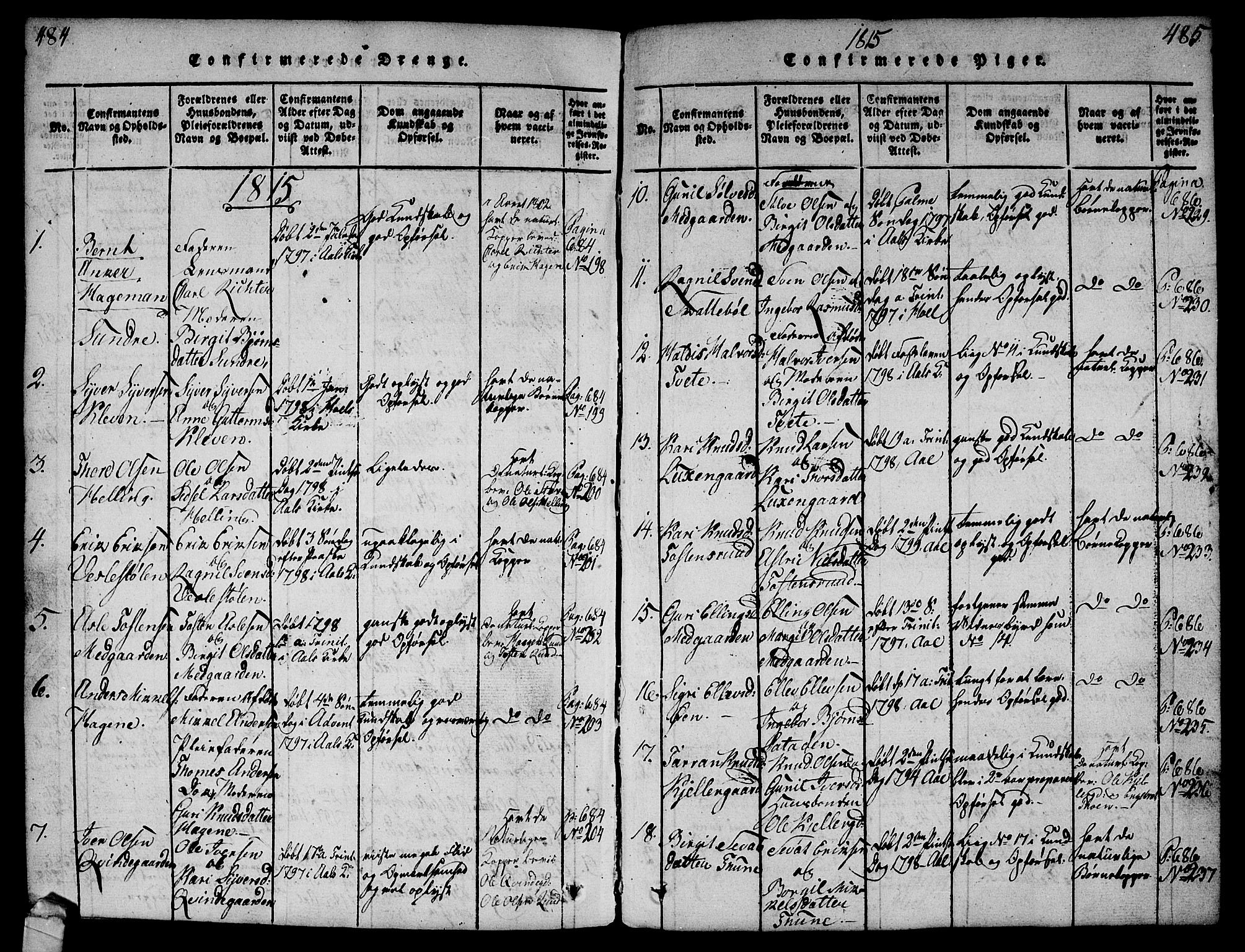 Ål kirkebøker, AV/SAKO-A-249/G/Ga/L0001: Parish register (copy) no. 1, 1815-1829, p. 484-485