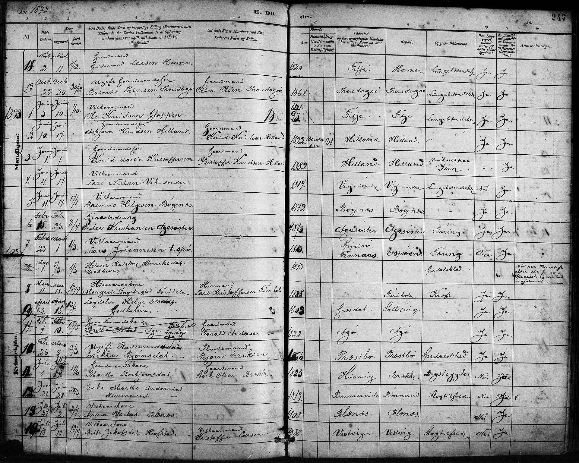 Fitjar sokneprestembete, SAB/A-99926: Parish register (official) no. A 2, 1882-1899, p. 247