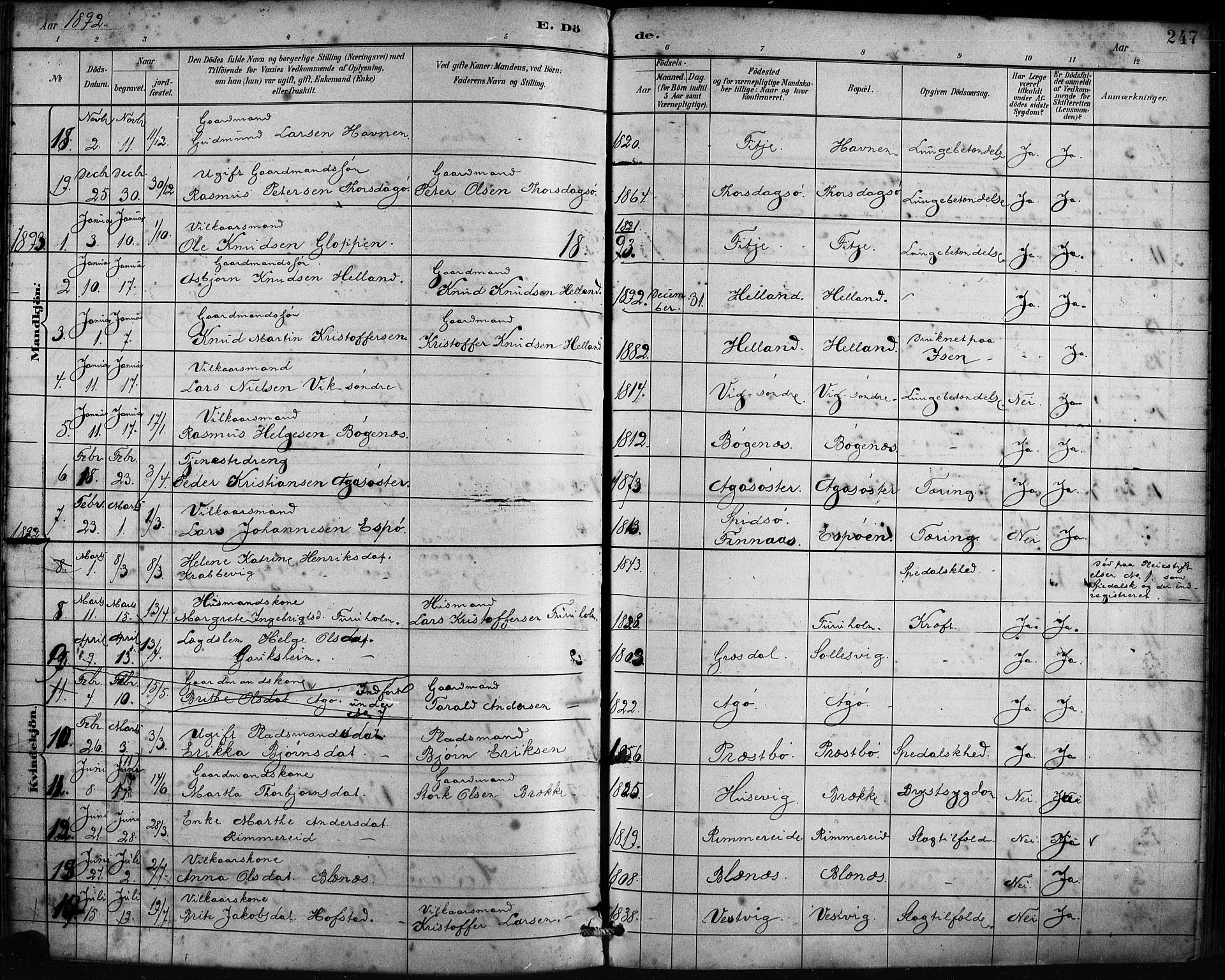 Fitjar sokneprestembete, AV/SAB-A-99926: Parish register (official) no. A 2, 1882-1899, p. 247