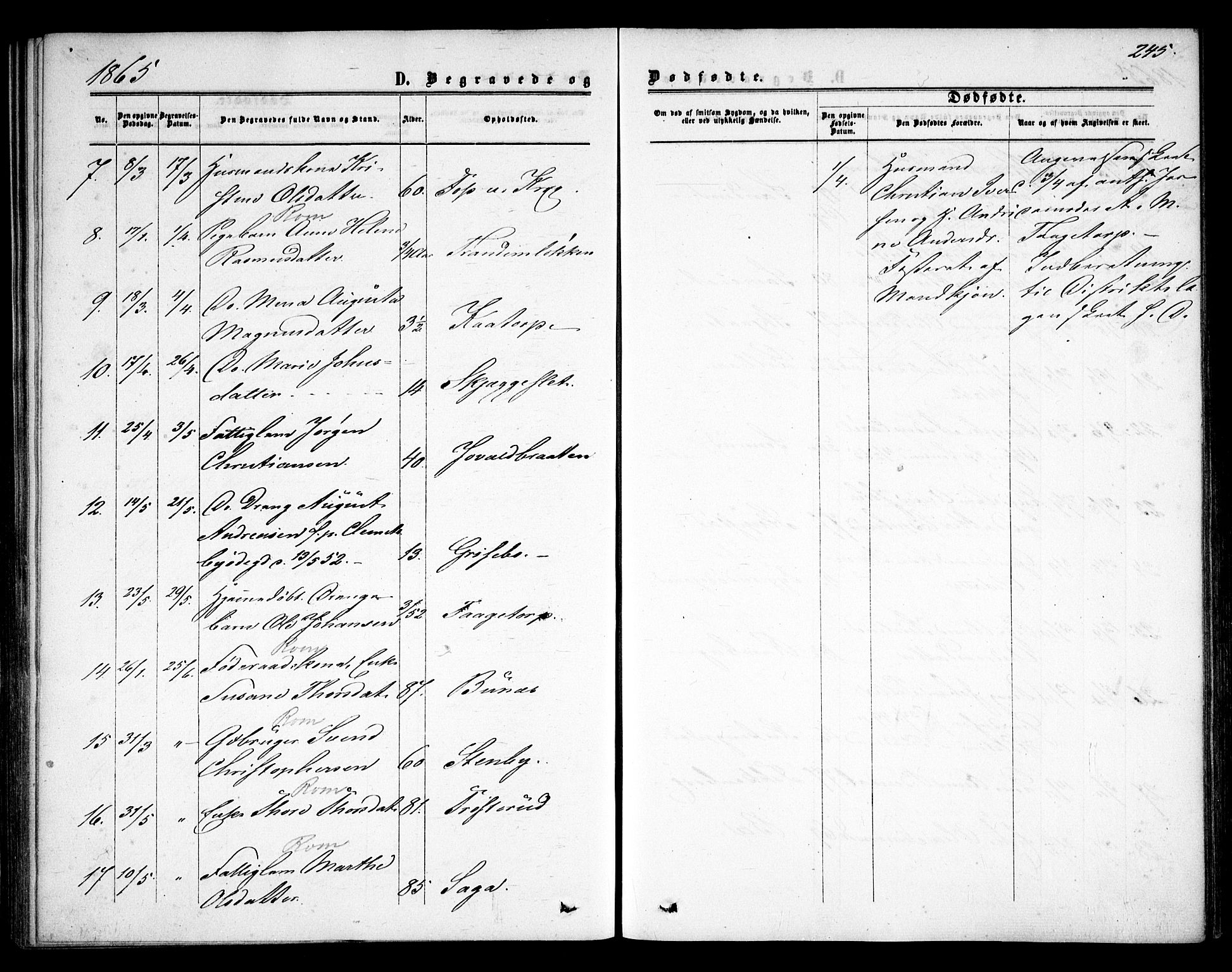 Rødenes prestekontor Kirkebøker, AV/SAO-A-2005/F/Fa/L0007: Parish register (official) no. I 7, 1860-1869, p. 245