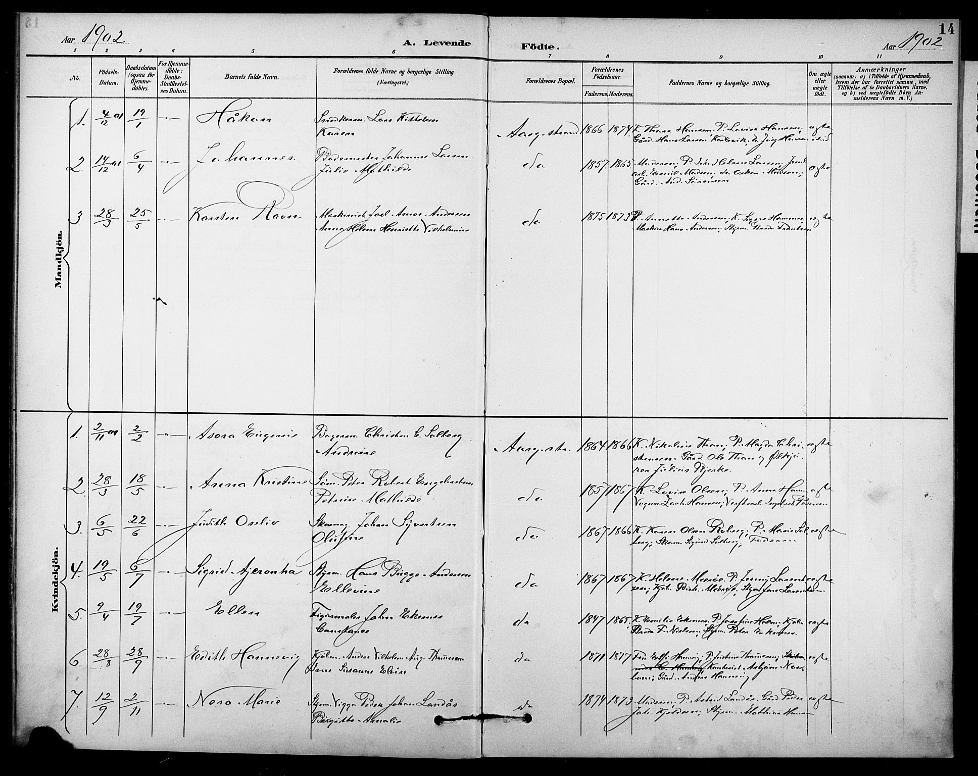 Borre kirkebøker, SAKO/A-338/F/Fb/L0002: Parish register (official) no. II 2, 1893-1905, p. 14